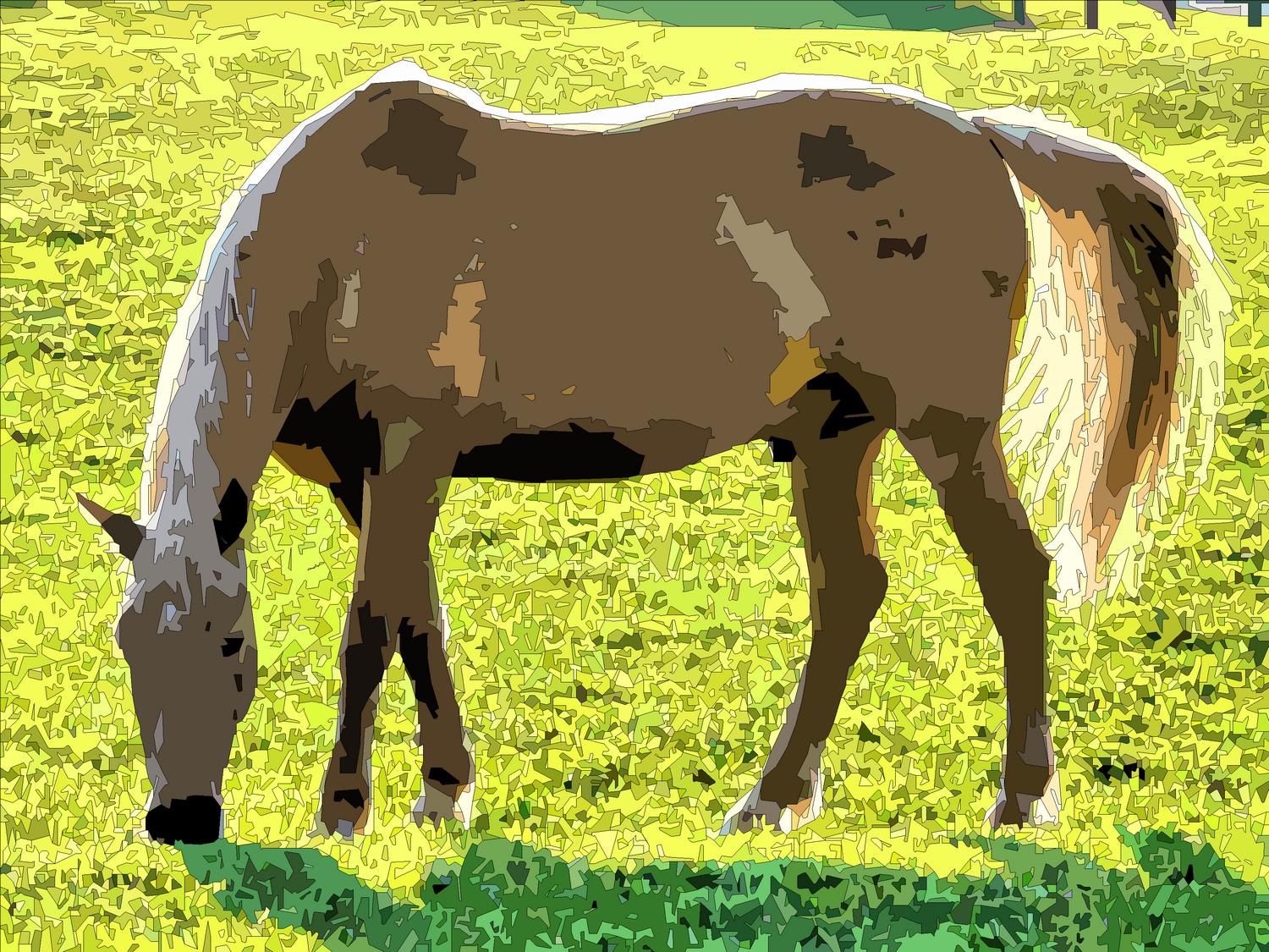  - The horse as a jigsaw puzzle - Panasonic DMC-FZ18 - Tony Karp, design, art, photography, techno-impressionist, techno-impressionism, aerial photography , drone , drones , dji , mavic pro , video , 3D printing - Books -