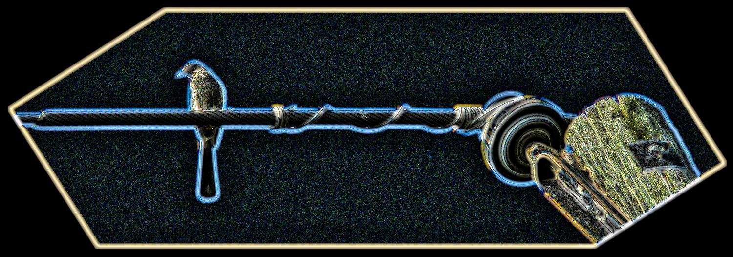 Bird on a wire #5 - And finally into  LightZone 3 for some special effects. Voila! -  Panasonic DMC-FZ18 - Tony Karp, design, art, photography, techno-impressionist, techno-impressionism, aerial photography , drone , drones , dji , mavic pro , video , 3D printing - Books -