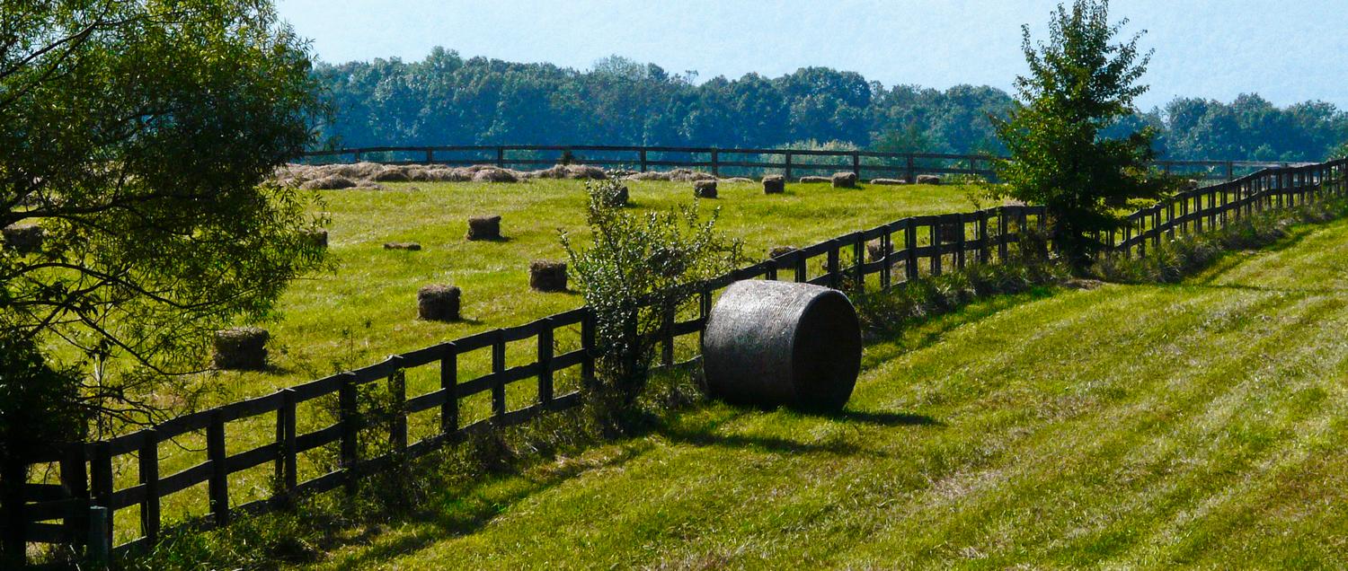 Bales of hay  - by Marilyn Karp - Hay, hay, hay! - Tony Karp, design, art, photography, techno-impressionist, techno-impressionism, aerial photography , drone , drones , dji , mavic pro , video , 3D printing - Books -