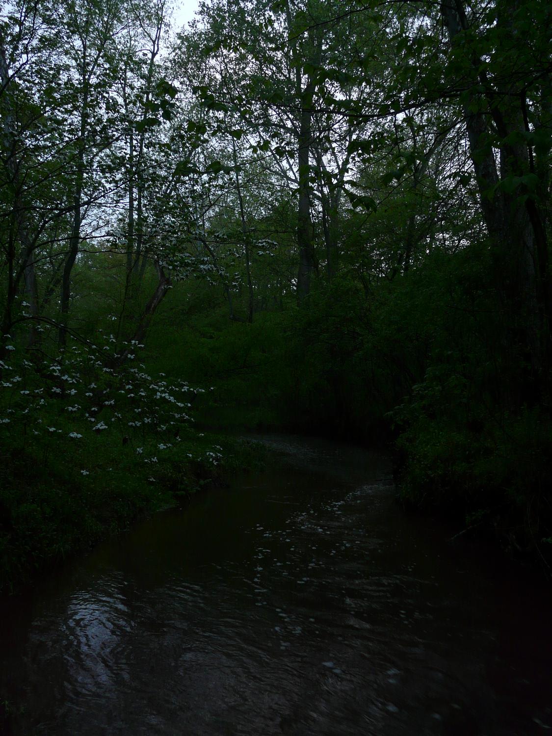 Original JPEG image of Black Branch is way underexposed - Restoring lost shadow detail in JPEG images - Tony Karp, design, art, photography, techno-impressionist, techno-impressionism, aerial photography , drone , drones , dji , mavic pro , video , 3D printing - Books -