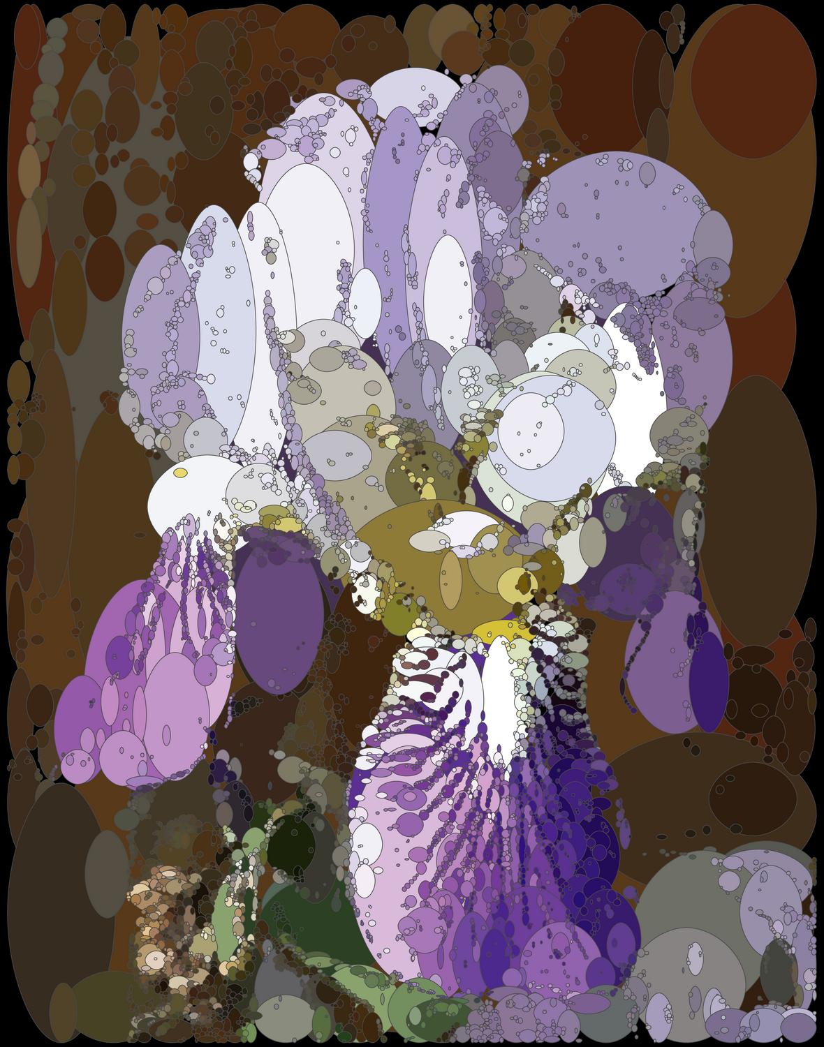  - The iris, deconstructed into a Cubist form - Panasonic DMC-FZ18 - iris - many variations on one photograph - Tony Karp, design, art, photography, techno-impressionist, techno-impressionism, aerial photography , drone , drones , dji , mavic pro , video , 3D printing - Books -