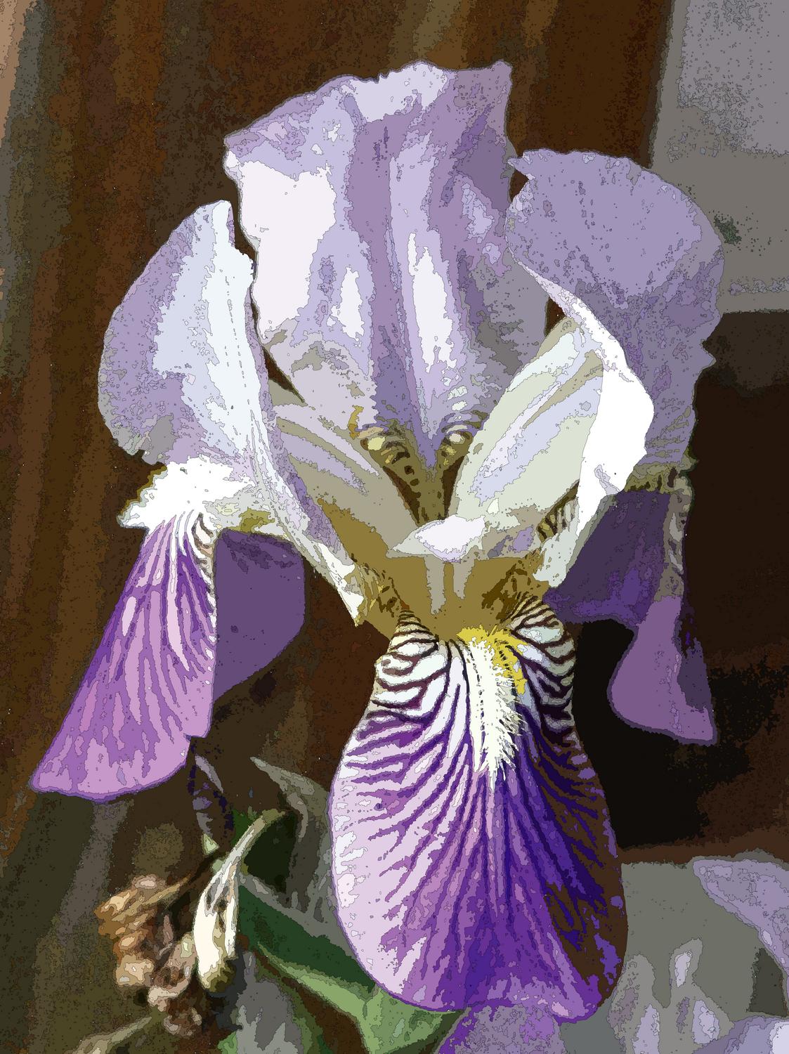  - The iris, in Postscript, with a light line around each shape. - Panasonic DMC-FZ18 - iris - many variations on one photograph - Tony Karp, design, art, photography, techno-impressionist, techno-impressionism, aerial photography , drone , drones , dji , mavic pro , video , 3D printing - Books -