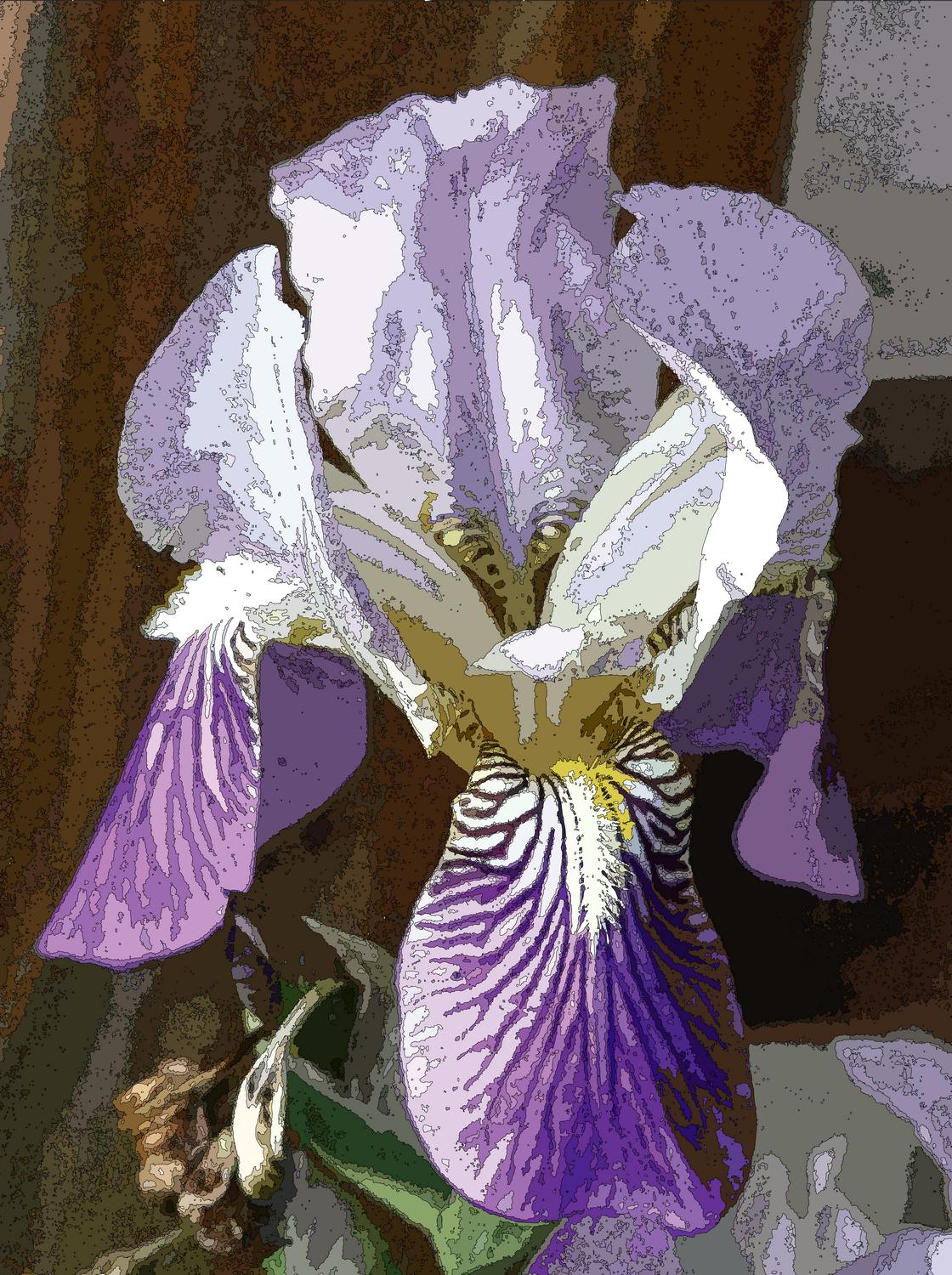  - The iris, with a heavier line around each shape. - Panasonic DMC-FZ18 - iris - many variations on one photograph - Tony Karp, design, art, photography, techno-impressionist, techno-impressionism, aerial photography , drone , drones , dji , mavic pro , video , 3D printing - Books -