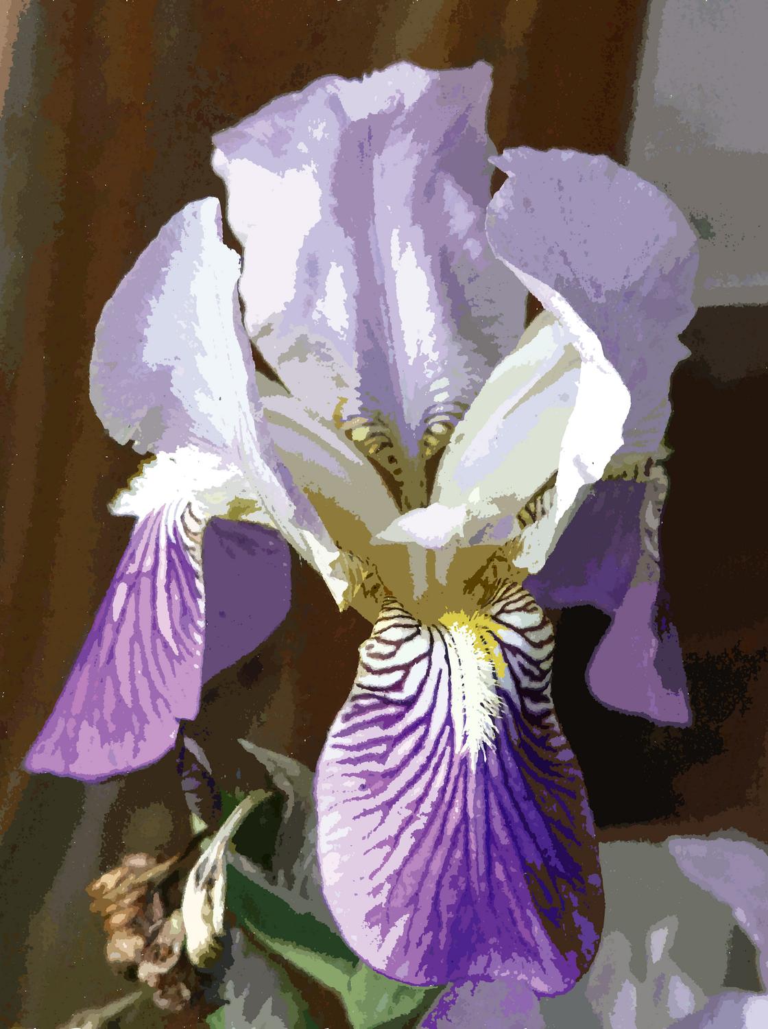  - The iris converted to PostScript. Now it consists of shapes filled with solid colors. - Panasonic DMC-FZ18 - iris - many variations on one photograph - Tony Karp, design, art, photography, techno-impressionist, techno-impressionism, aerial photography , drone , drones , dji , mavic pro , video , 3D printing - Books -