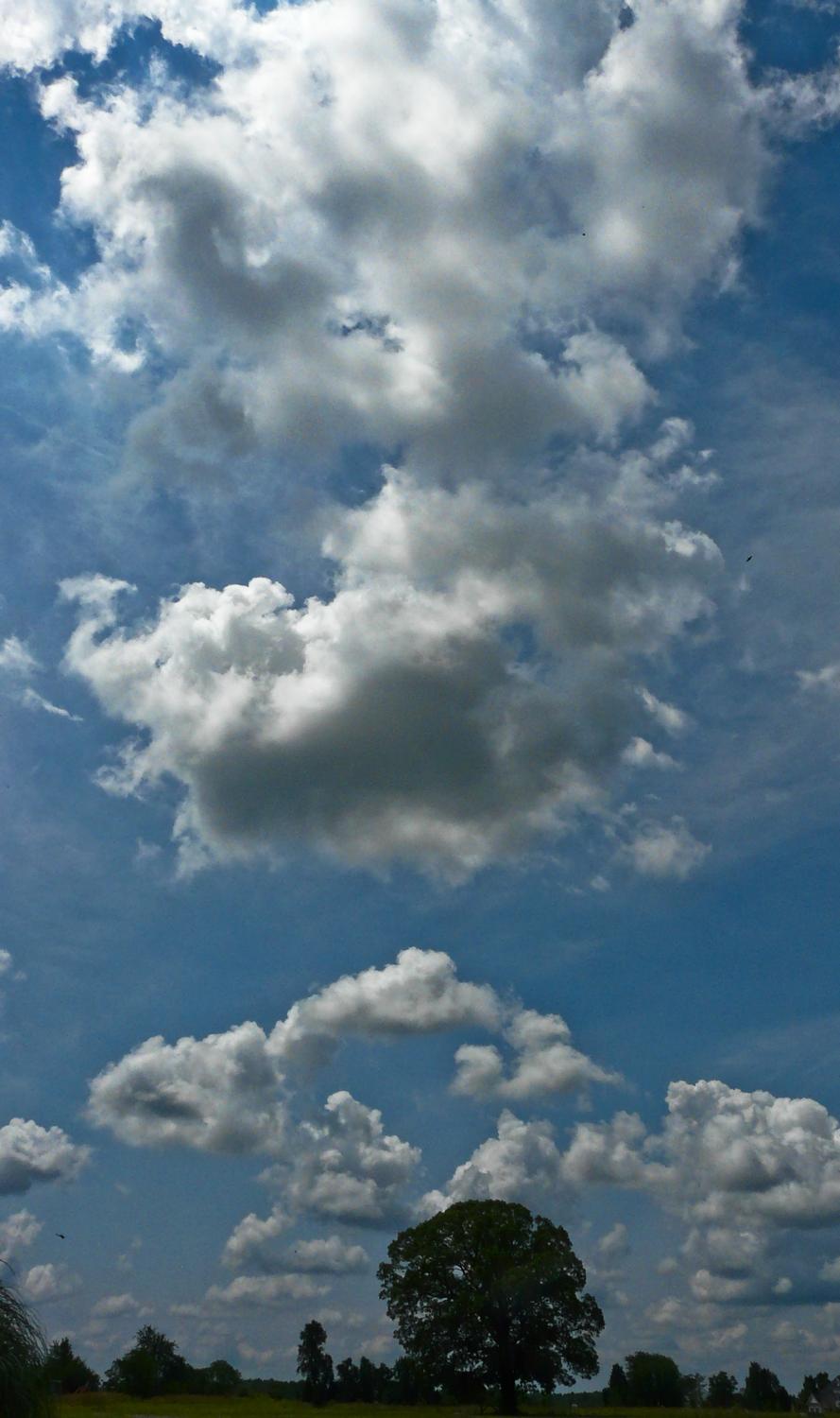  - The clouds were auspicious, with the shape of different animals - Panasonic DMC-FZ18 - Tony Karp, design, art, photography, techno-impressionist, techno-impressionism, aerial photography , drone , drones , dji , mavic pro , video , 3D printing - Books -