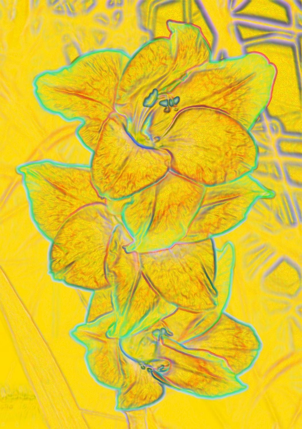  - And here are some flowers from van Gogh. - Tony Karp, design, art, photography, techno-impressionist, techno-impressionism, aerial photography , drone , drones , dji , mavic pro , video , 3D printing - Books -