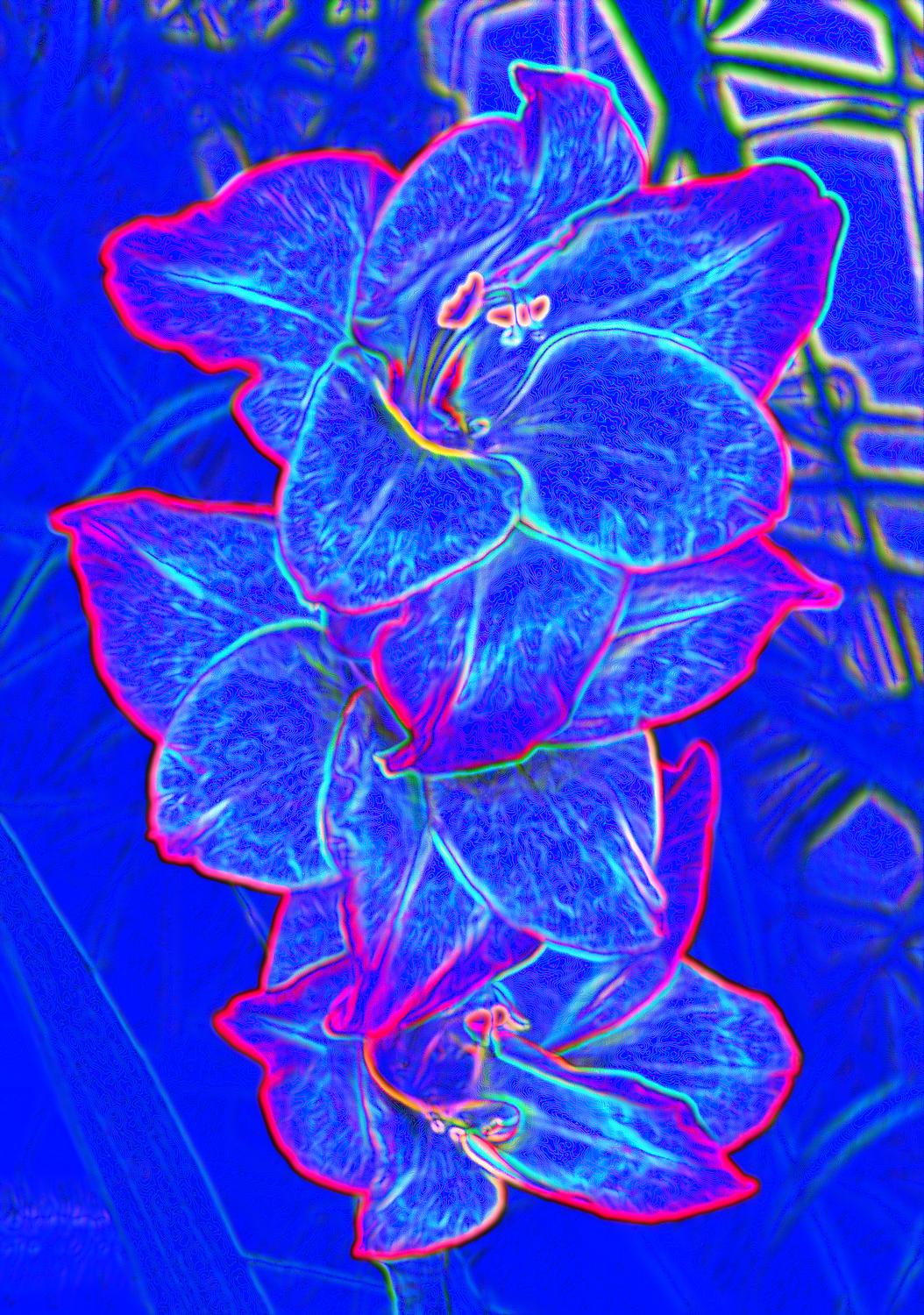 blue flowers - And some blue ones I thought you'd like. - Tony Karp, design, art, photography, techno-impressionist, techno-impressionism, aerial photography , drone , drones , dji , mavic pro , video , 3D printing - Books -