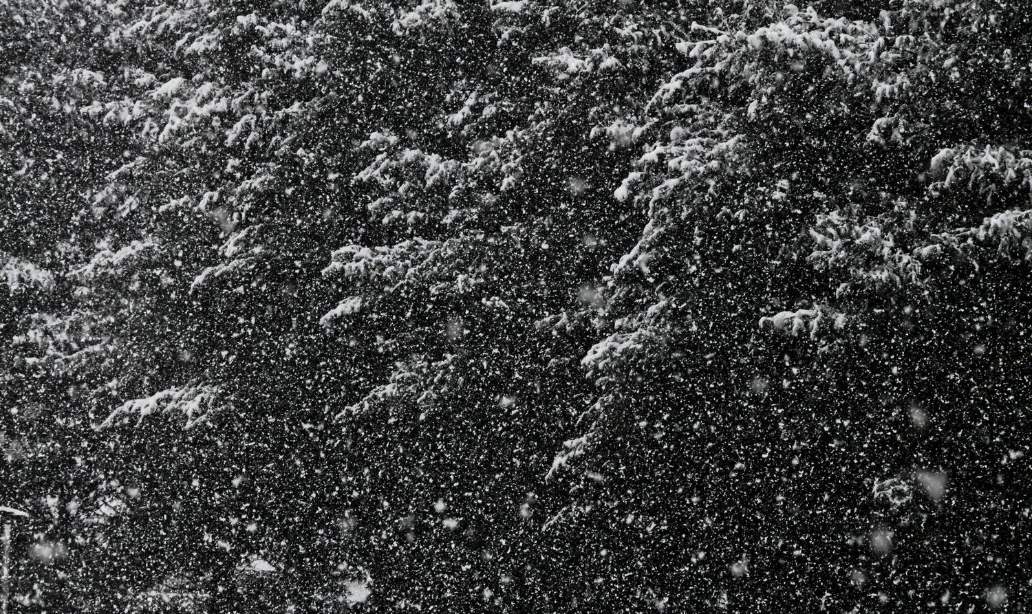 Snow scene with pine trees -  Panasonic DMC-FZ18 - It's snowing! - Tony Karp, design, art, photography, techno-impressionist, techno-impressionism, aerial photography , drone , drones , dji , mavic pro , video , 3D printing - Books -