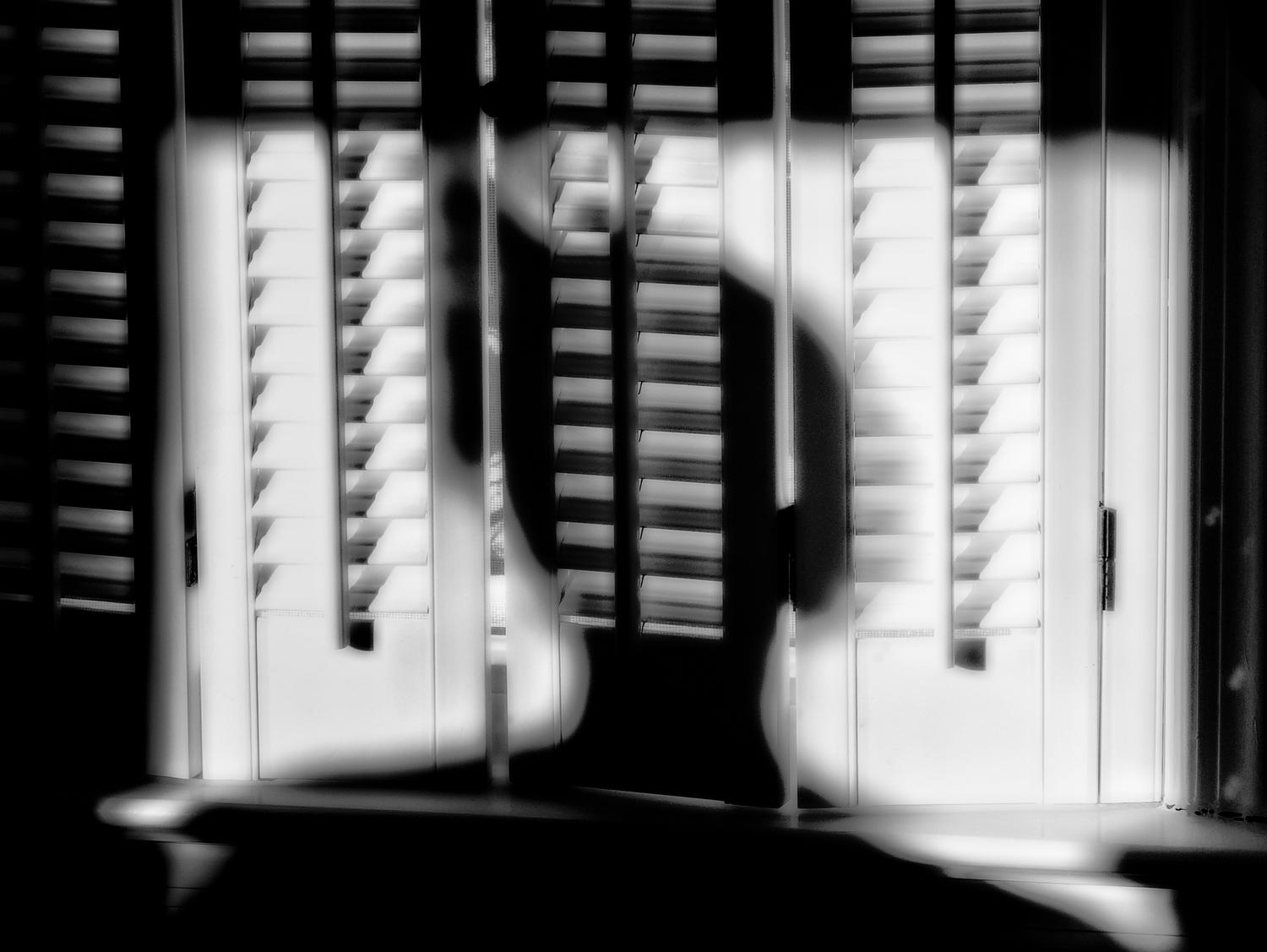 the artist's muse as a shadow on the shutters-  Panasonic DMC-FZ18 - The artist's muse, before the shutters. - Tony Karp, design, art, photography, techno-impressionist, techno-impressionism, aerial photography , drone , drones , dji , mavic pro , video , 3D printing - Books -