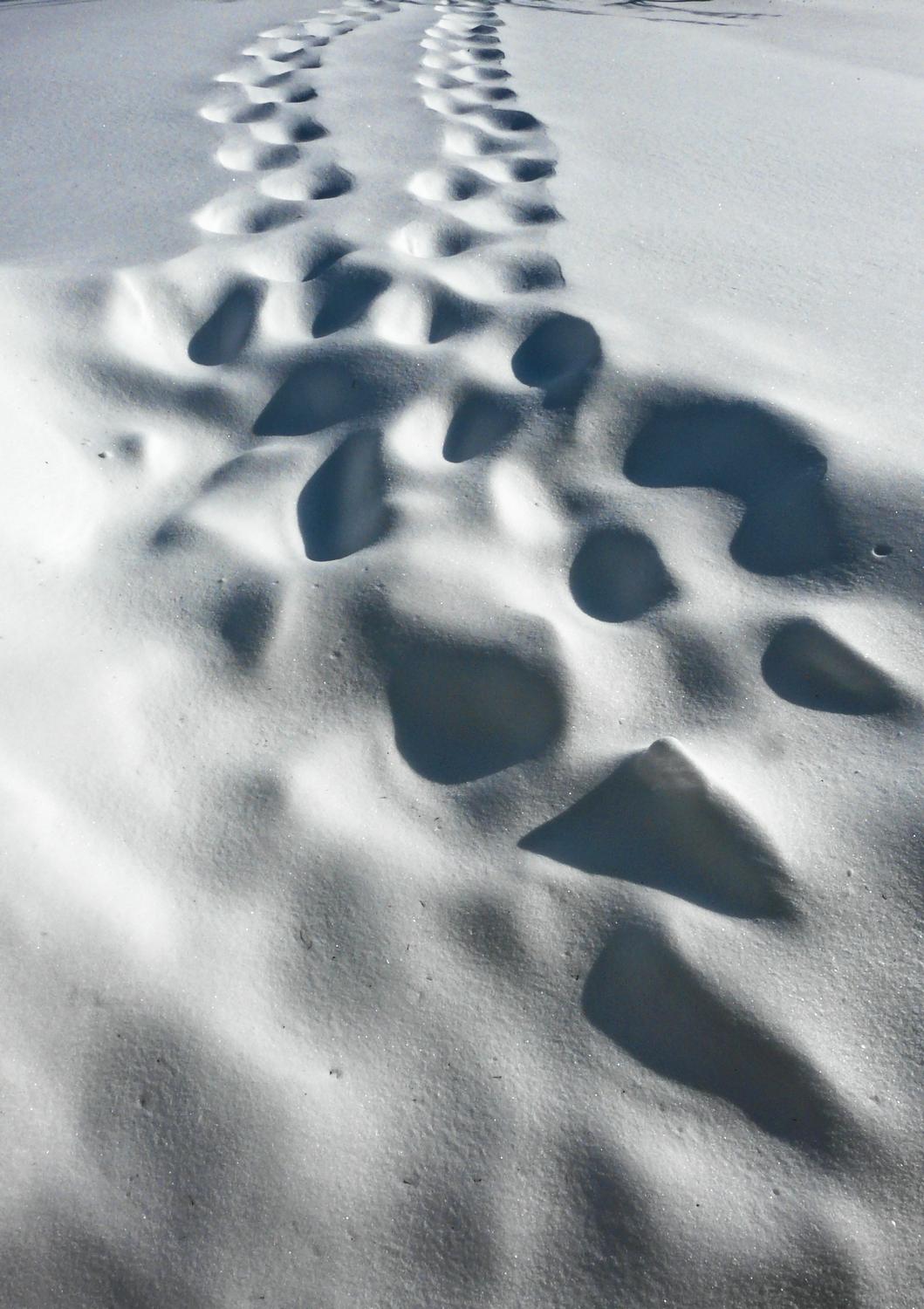 tracks in the snow-  Panasonic DMC-FZ18 - This is what snowbound really looks like. - Tony Karp, design, art, photography, techno-impressionist, techno-impressionism, aerial photography , drone , drones , dji , mavic pro , video , 3D printing - Books -
