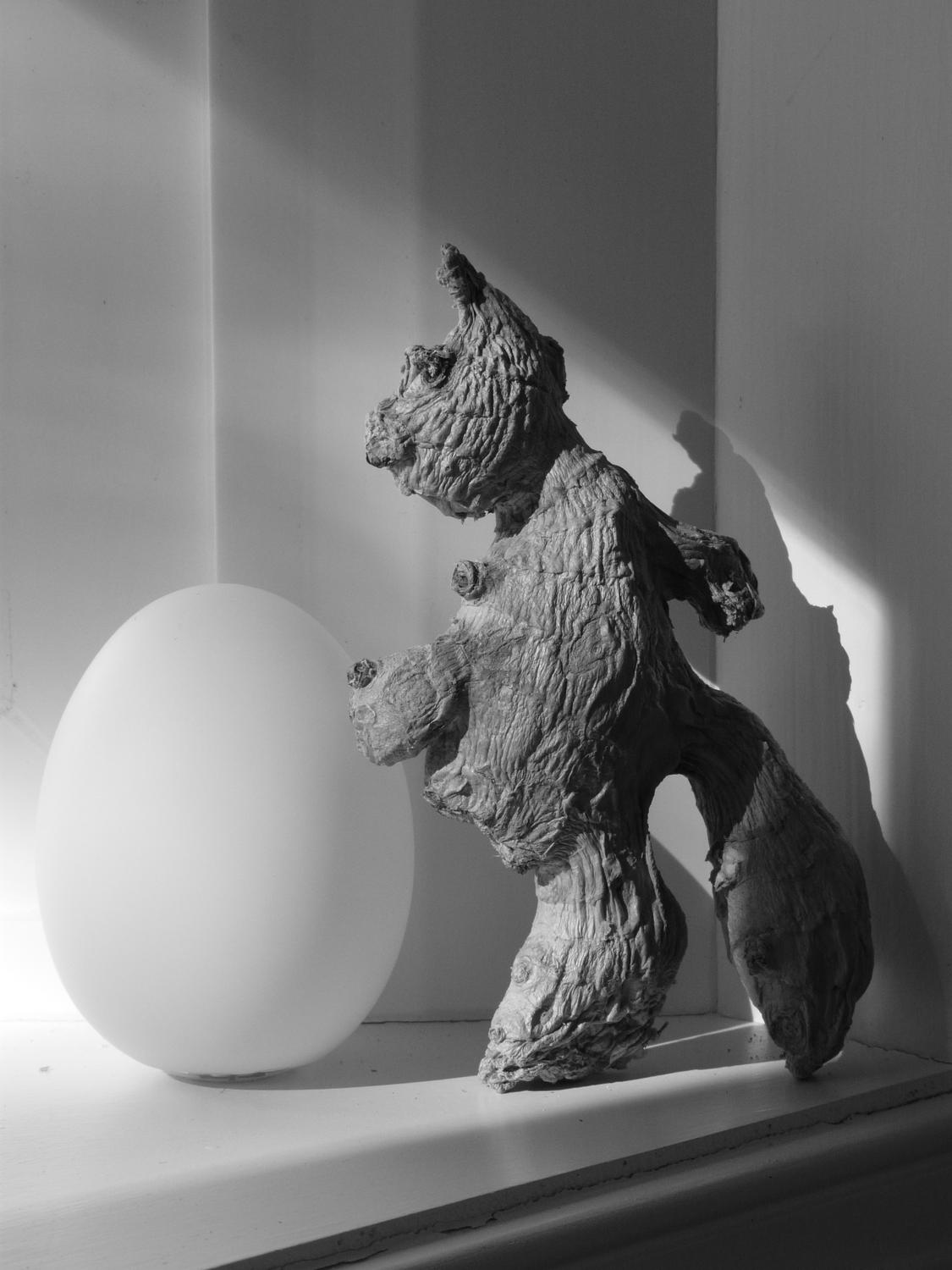  - Ginger Man meets the egg - Tony Karp, design, art, photography, techno-impressionist, techno-impressionism, aerial photography , drone , drones , dji , mavic pro , video , 3D printing - Books -