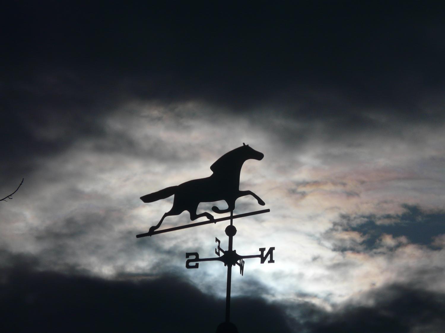  - Horse over my head, against the clouds and sun - Tony Karp, design, art, photography, techno-impressionist, techno-impressionism, aerial photography , drone , drones , dji , mavic pro , video , 3D printing - Books -