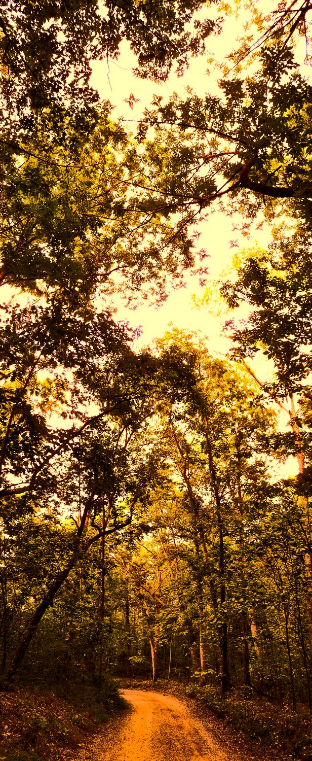 vertical panorama on the road to Bull Run - On the road to the river - Panasonic DMC-FZ28 - Tony Karp, design, art, photography, techno-impressionist, techno-impressionism, aerial photography , drone , drones , dji , mavic pro , video , 3D printing - Books -