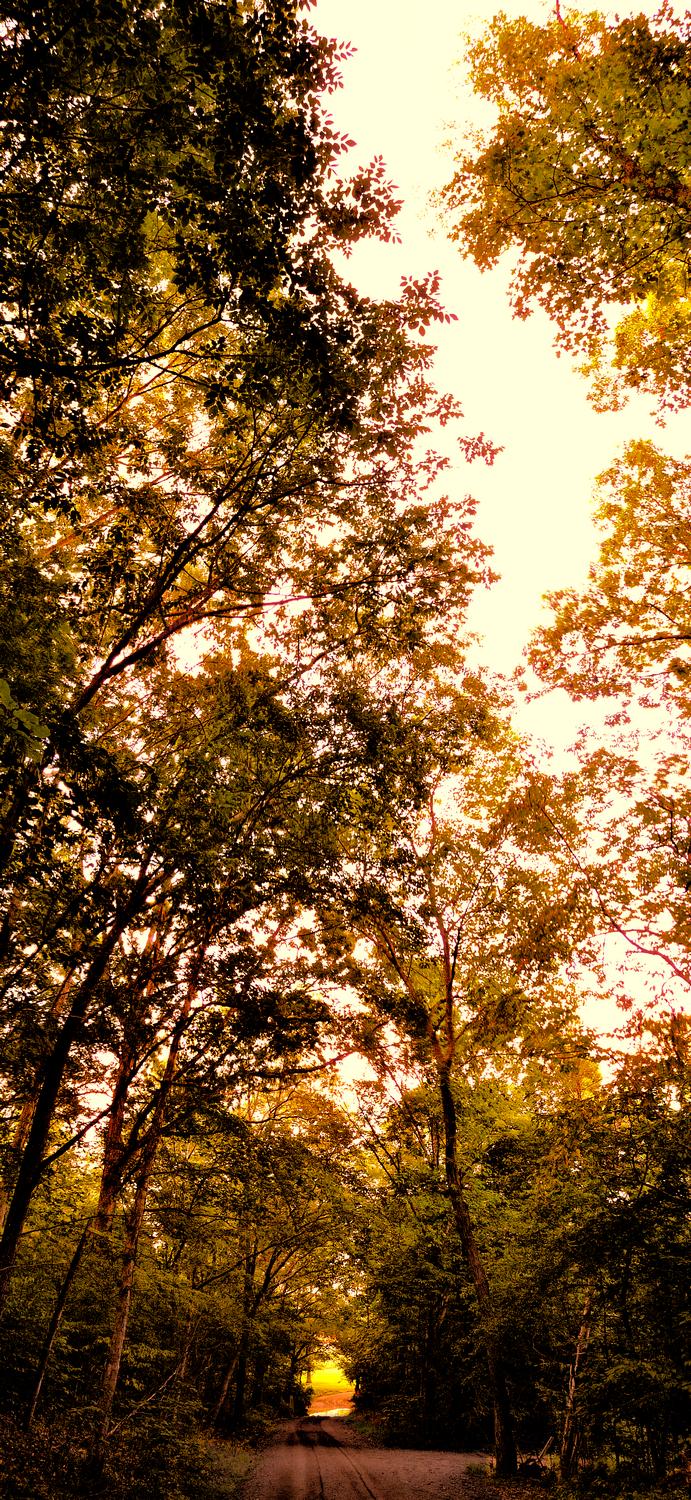 vertical panorama of the road to Bull Run in autumn - On the road to the river - Panasonic DMC-FZ28 - Tony Karp, design, art, photography, techno-impressionist, techno-impressionism, aerial photography , drone , drones , dji , mavic pro , video , 3D printing - Books -