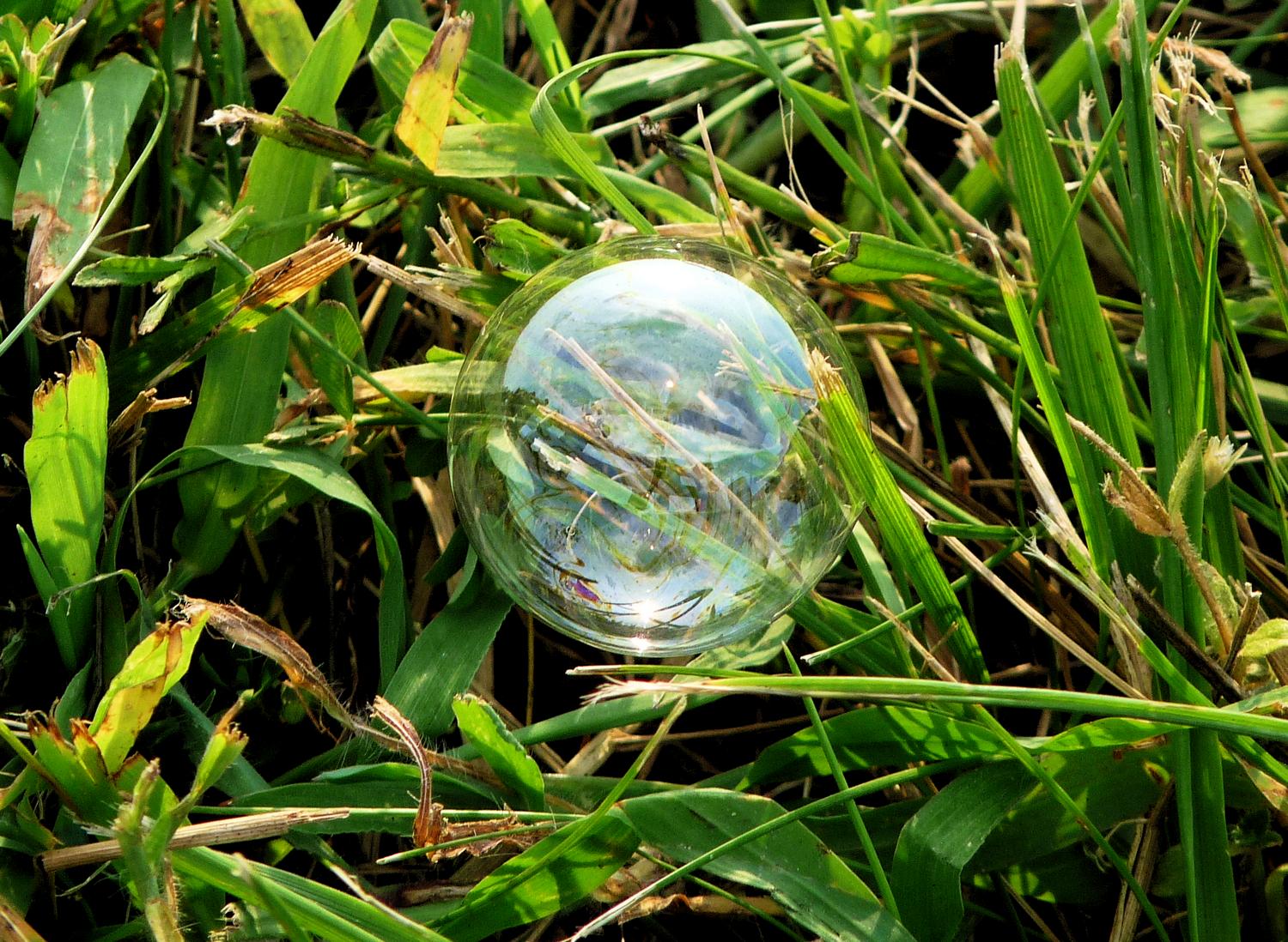  - A soap bubble on the grass. - Panasonic DMC-FZ28 -- At the Flying Circus - Bealton Virginia - Tony Karp, design, art, photography, techno-impressionist, techno-impressionism, aerial photography , drone , drones , dji , mavic pro , video , 3D printing - Books -