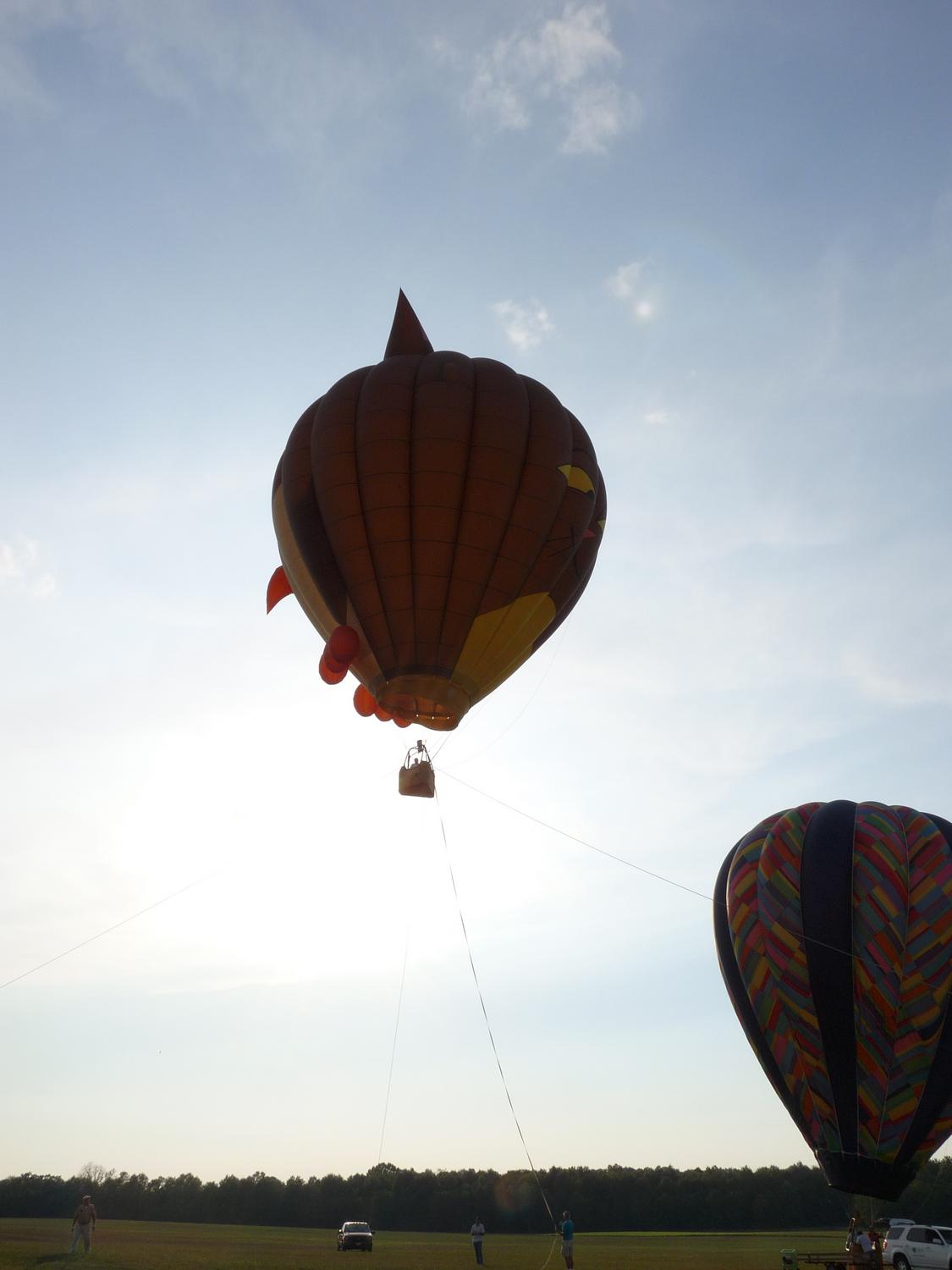 hot air balloons taking off into the sun - A balloon in the sun. - Panasonic DMC-FZ28 -- At the Flying Circus - Bealton Virginia - Tony Karp, design, art, photography, techno-impressionist, techno-impressionism, aerial photography , drone , drones , dji , mavic pro , video , 3D printing - Books -