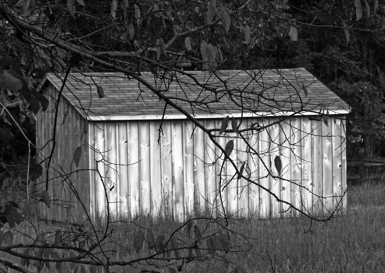  - Wooden shack - Panasonic DMC-FZ28 - Tony Karp, design, art, photography, techno-impressionist, techno-impressionism, aerial photography , drone , drones , dji , mavic pro , video , 3D printing - Books -