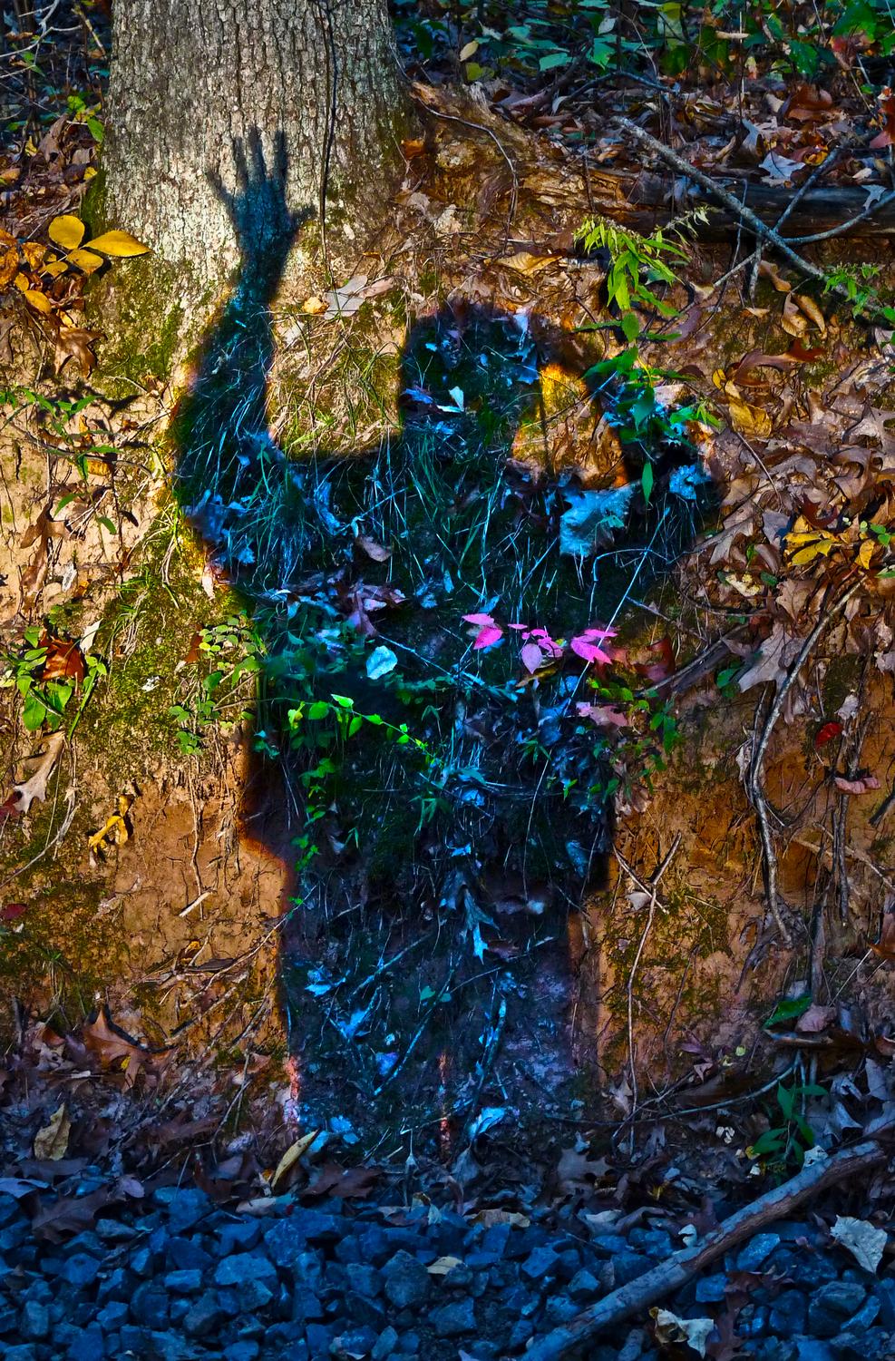  - Self portrait of the artist examining the spirit of a tree -  Panasonic DMC-FZ28 - Tony Karp, design, art, photography, techno-impressionist, techno-impressionism, aerial photography , drone , drones , dji , mavic pro , video , 3D printing - Books -