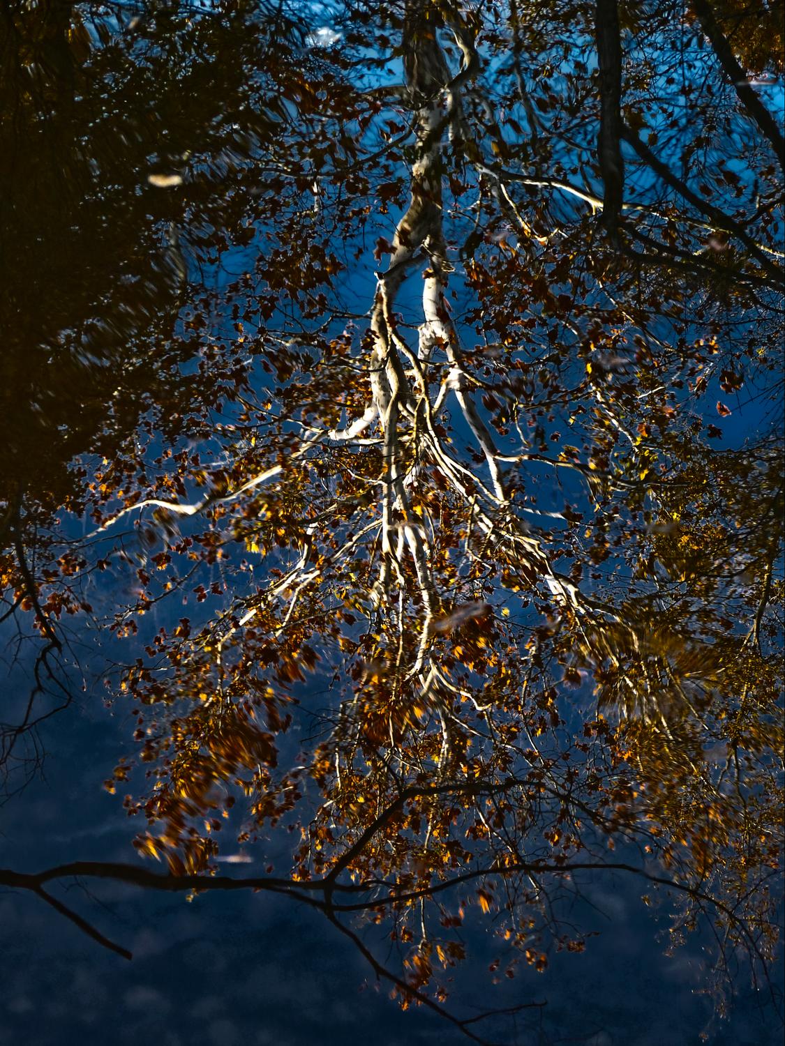  - A reflection on Bull Run -  Panasonic DMC-FZ28 - Tony Karp, design, art, photography, techno-impressionist, techno-impressionism, aerial photography , drone , drones , dji , mavic pro , video , 3D printing - Books -