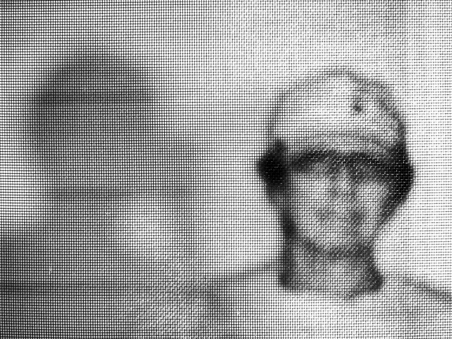 the Hobbitt behind the screen - The Artist, taking a picture of his Muse. - Panasonic DMC-FZ35 - Tony Karp, design, art, photography, techno-impressionist, techno-impressionism, aerial photography , drone , drones , dji , mavic pro , video , 3D printing - Books -