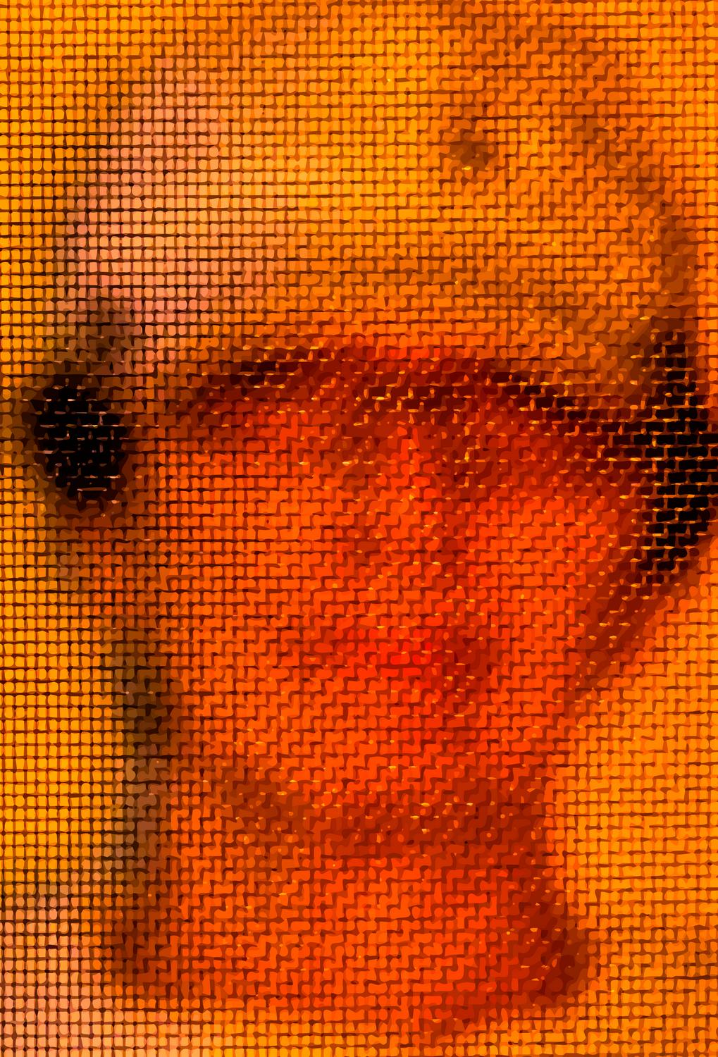  - The artist's muse, through the screen, at sunset - Tony Karp, design, art, photography, techno-impressionist, techno-impressionism, aerial photography , drone , drones , dji , mavic pro , video , 3D printing - Books -