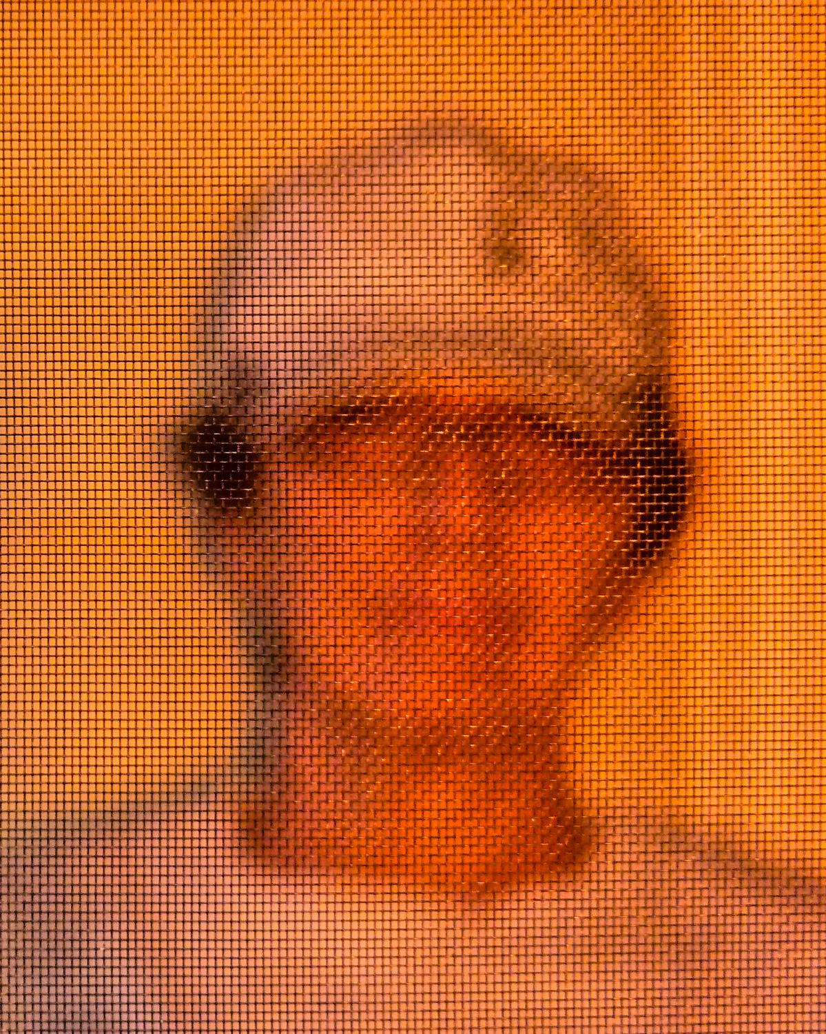  - The Artist's Muse, ready for her screen test - Panasonic DMC-FZ35 - Tony Karp, design, art, photography, techno-impressionist, techno-impressionism, aerial photography , drone , drones , dji , mavic pro , video , 3D printing - Books -