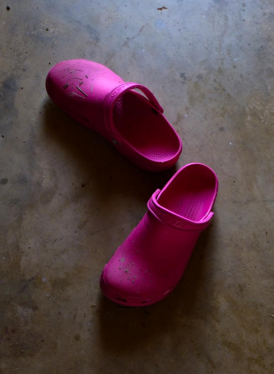 pink crocs - The Hobbitt's Crocs. - Panasonic DMC-FZ35 - Tony Karp, design, art, photography, techno-impressionist, techno-impressionism, aerial photography , drone , drones , dji , mavic pro , video , 3D printing - Books -