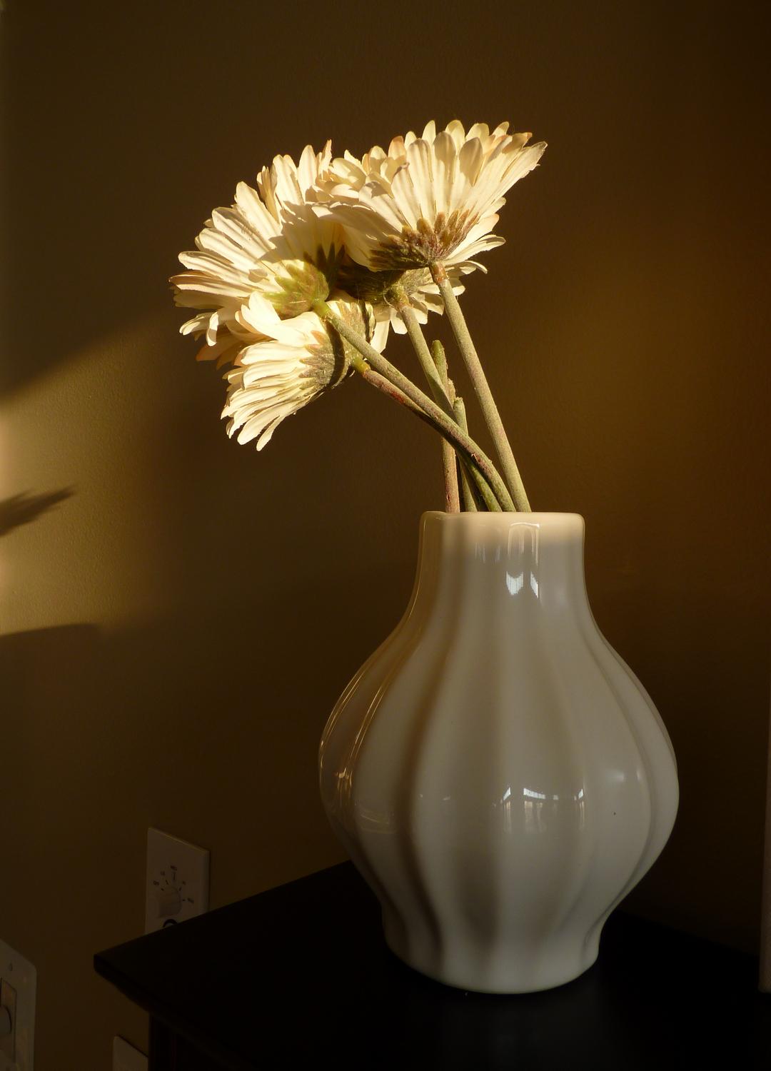 flowers in a vase - Still life. - Panasonic DMC-FZ35 - Tony Karp, design, art, photography, techno-impressionist, techno-impressionism, aerial photography , drone , drones , dji , mavic pro , video , 3D printing - Books -
