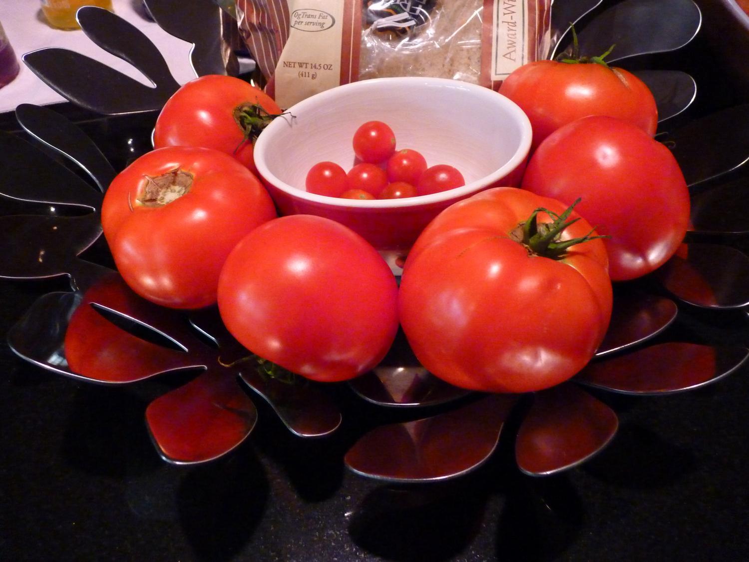  - Tomatoes at my son's house. - Panasonic DMC-FZ35 - Tony Karp, design, art, photography, techno-impressionist, techno-impressionism, aerial photography , drone , drones , dji , mavic pro , video , 3D printing - Books -