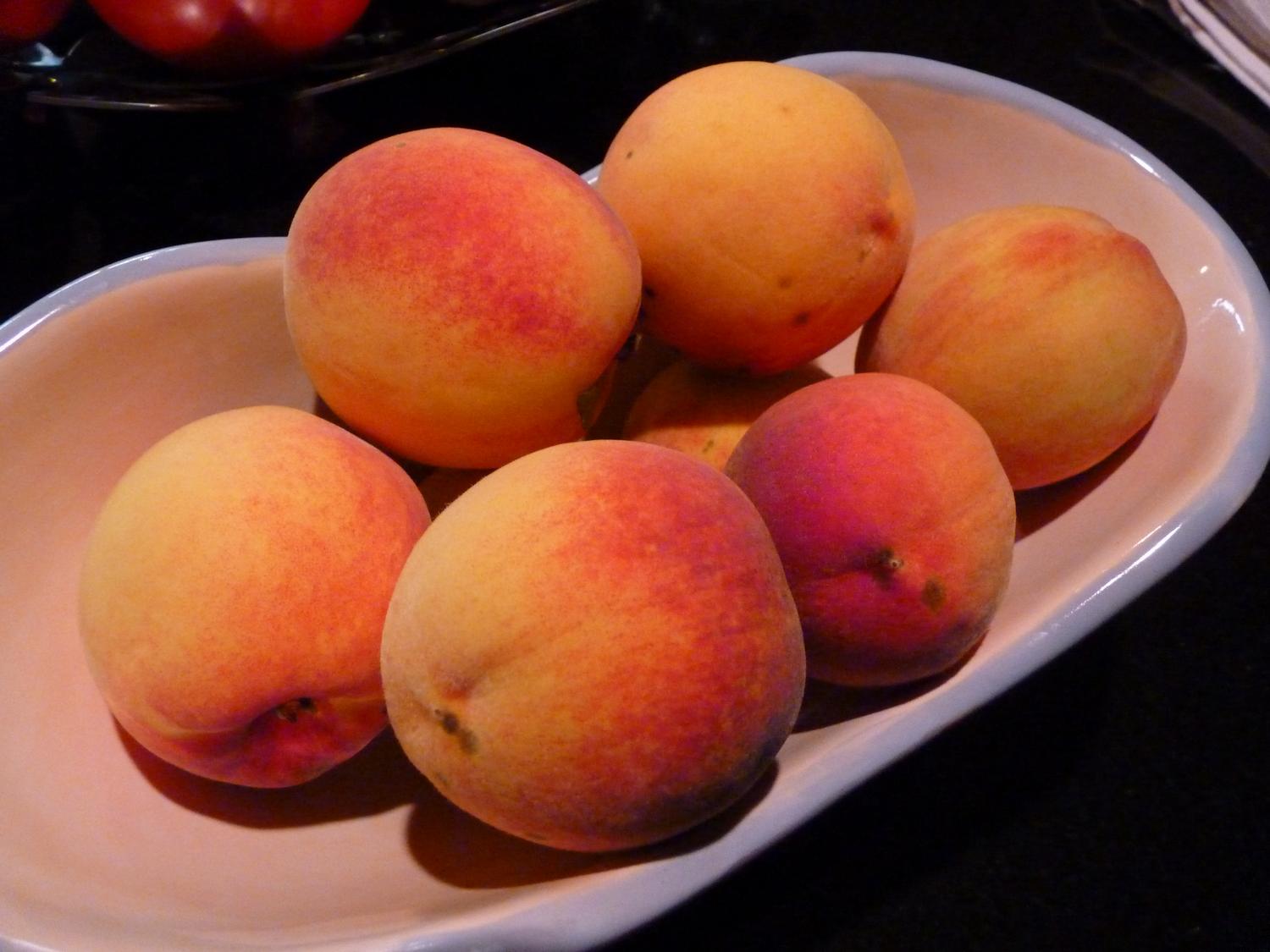  - Peaches at my son's house. - Panasonic DMC-FZ35 - Tony Karp, design, art, photography, techno-impressionist, techno-impressionism, aerial photography , drone , drones , dji , mavic pro , video , 3D printing - Books -