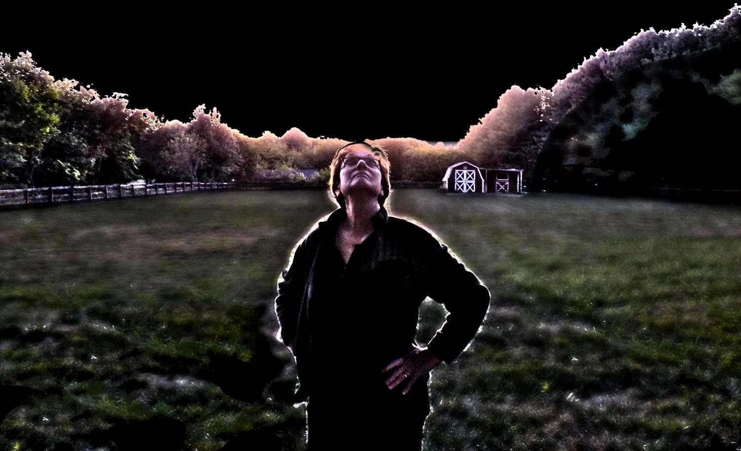  - The artist's muse contemplates the evening sky -- Panasonic FZ35, processed in LightZone 3 - Tony Karp, design, art, photography, techno-impressionist, techno-impressionism, aerial photography , drone , drones , dji , mavic pro , video , 3D printing - Books -
