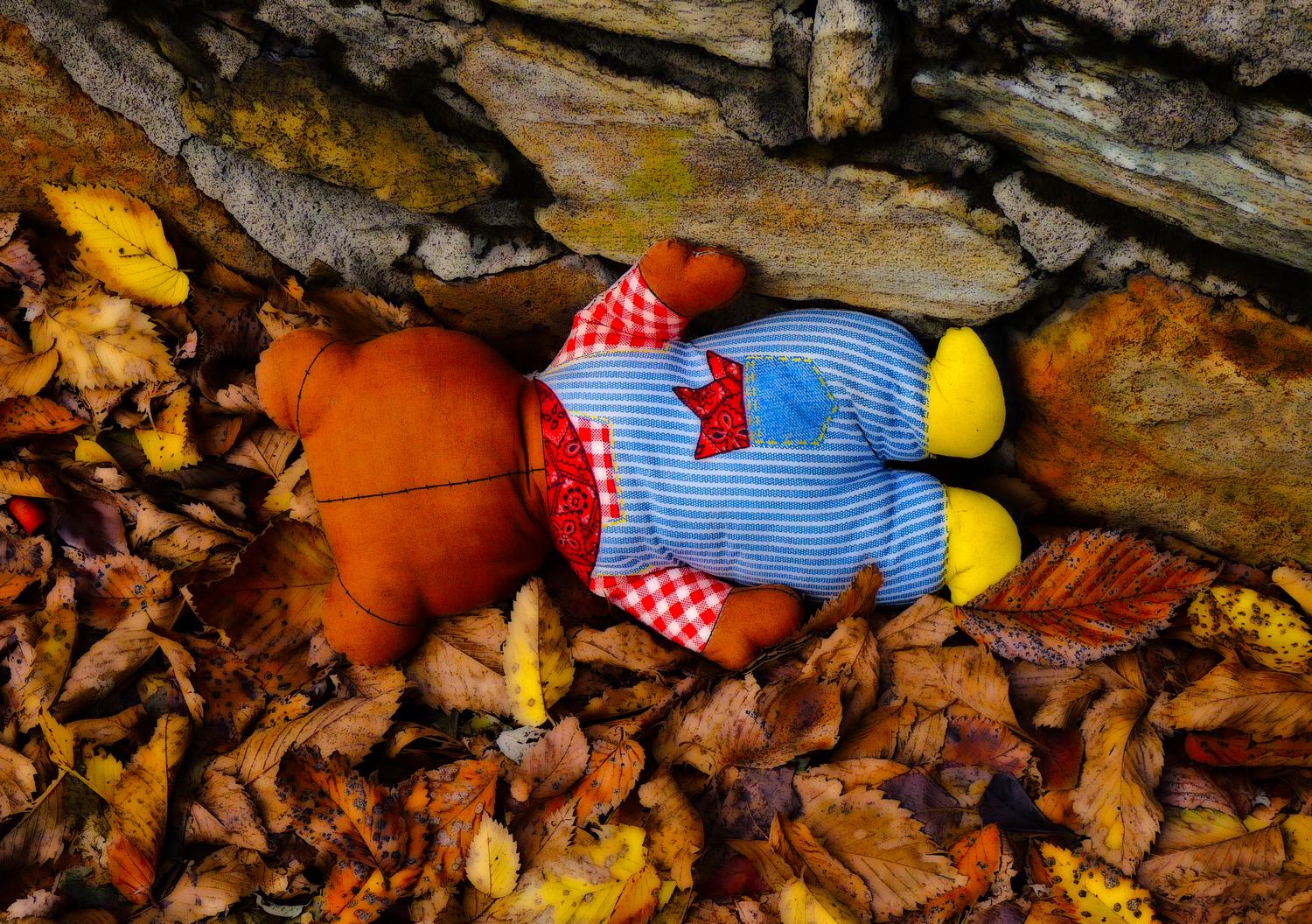 stuffed bear in the leaves from the back  - Warrenton, Virginia-  Panasonic DMC-FZ35 - We found Mr. Bear in a pile of leaves along the road. - Tony Karp, design, art, photography, techno-impressionist, techno-impressionism, aerial photography , drone , drones , dji , mavic pro , video , 3D printing - Books -