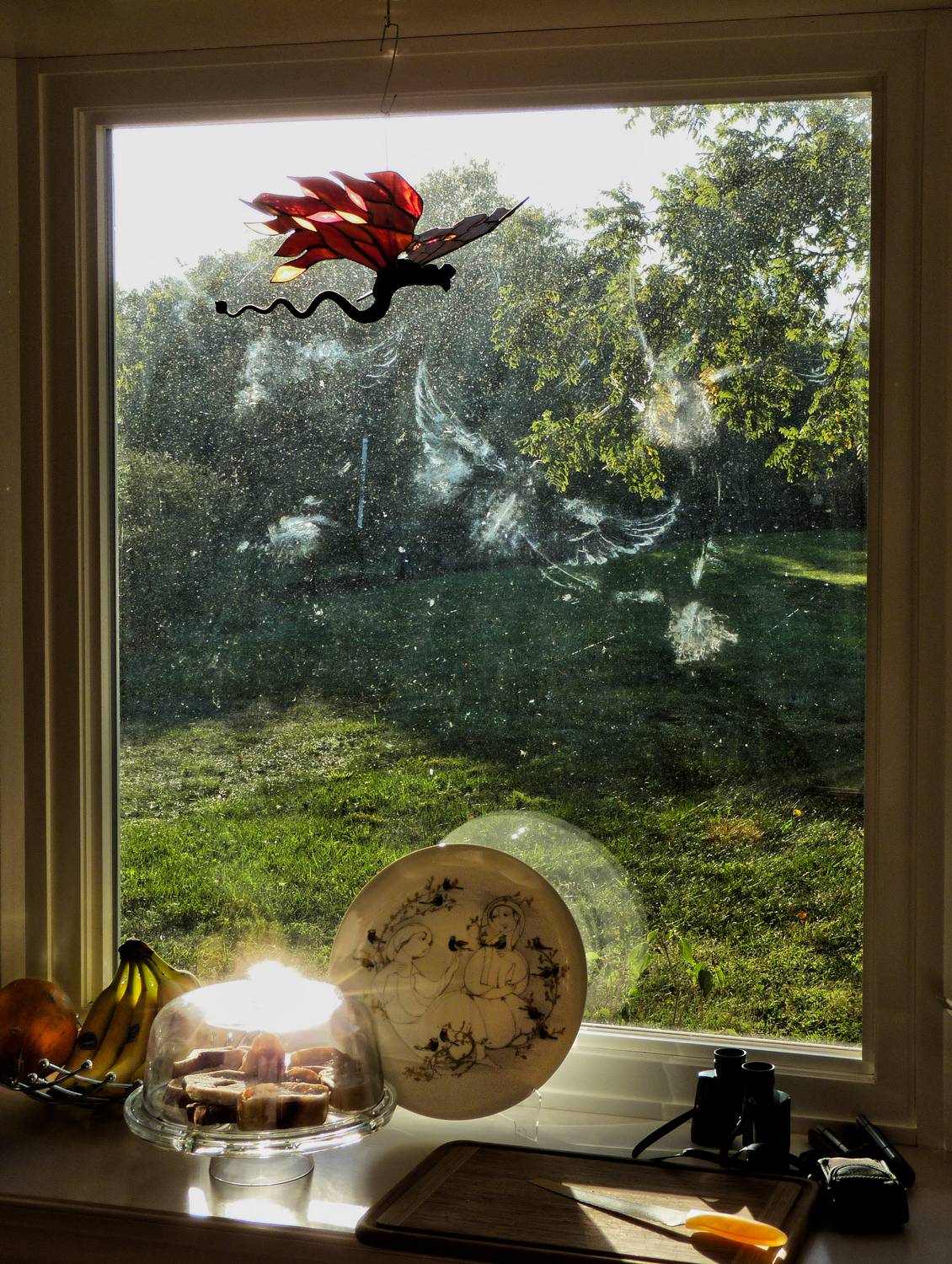  - My fix for bird strikes on my window - Bird strikes, flamingos, preventing bird strikes, pink - Tony Karp, design, art, photography, techno-impressionist, techno-impressionism, aerial photography , drone , drones , dji , mavic pro , video , 3D printing - Books -