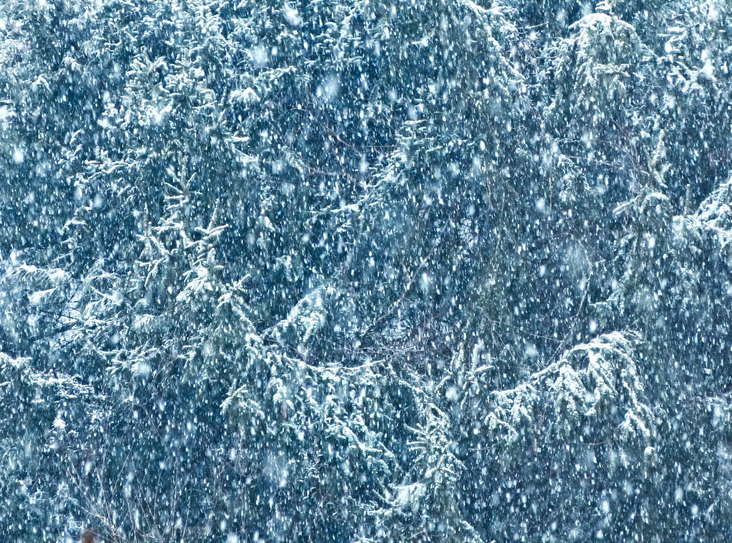  - Of course it's snowing. It's winter. <br>--- Click to see ORIGINAL --- - -  Panasonic DMC-FZ150 - Tony Karp, design, art, photography, techno-impressionist, techno-impressionism, aerial photography , drone , drones , dji , mavic pro , video , 3D printing - Books -