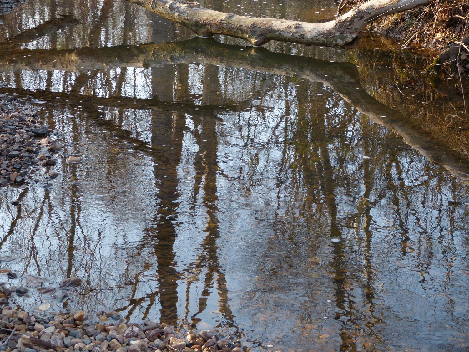  reflections - Trees in the stream <br>--- Click to see ORIGINAL --- - -  Panasonic DMC-FZ150 - post processing - Tony Karp, design, art, photography, techno-impressionist, techno-impressionism, aerial photography , drone , drones , dji , mavic pro , video , 3D printing - Books -