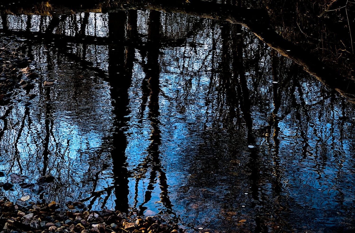  reflections - Trees in the stream <br>--- Click to see ORIGINAL --- - -  Panasonic DMC-FZ150 - post processing - Tony Karp, design, art, photography, techno-impressionist, techno-impressionism, aerial photography , drone , drones , dji , mavic pro , video , 3D printing - Books -