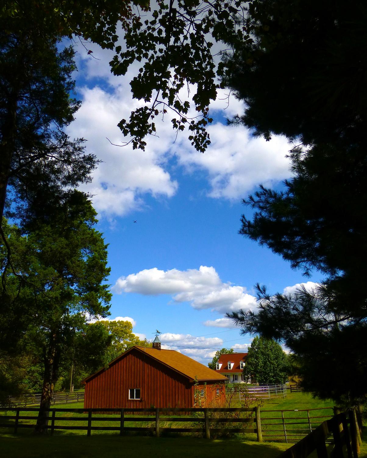  - A horse farm along our road <br>--- Click to see ORIGINAL --- - Panasonic DMC-ZS20 - Tony Karp, design, art, photography, techno-impressionist, techno-impressionism, aerial photography , drone , drones , dji , mavic pro , video , 3D printing - Books -