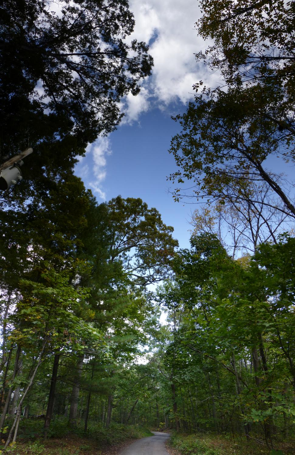  - Looking down our road - vertical panorama <br>--- Click to see ORIGINAL --- - Panasonic DMC-ZS20 - Tony Karp, design, art, photography, techno-impressionist, techno-impressionism, aerial photography , drone , drones , dji , mavic pro , video , 3D printing - Books -