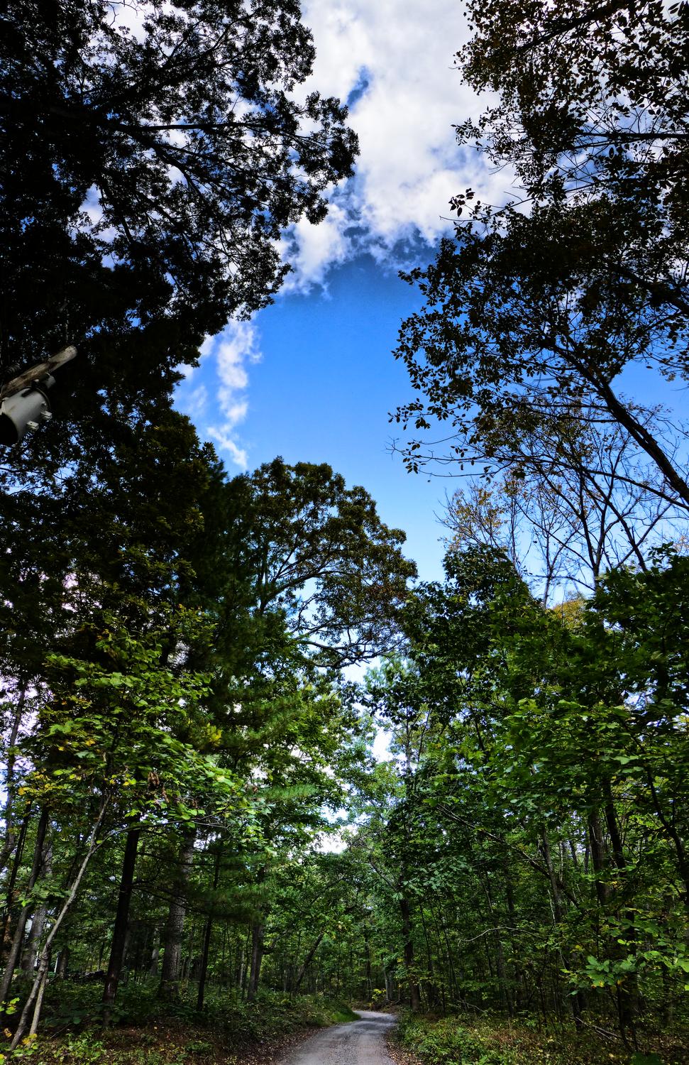  - Looking down our road - vertical panorama <br>--- Click to see ORIGINAL --- - Panasonic DMC-ZS20 - Tony Karp, design, art, photography, techno-impressionist, techno-impressionism, aerial photography , drone , drones , dji , mavic pro , video , 3D printing - Books -