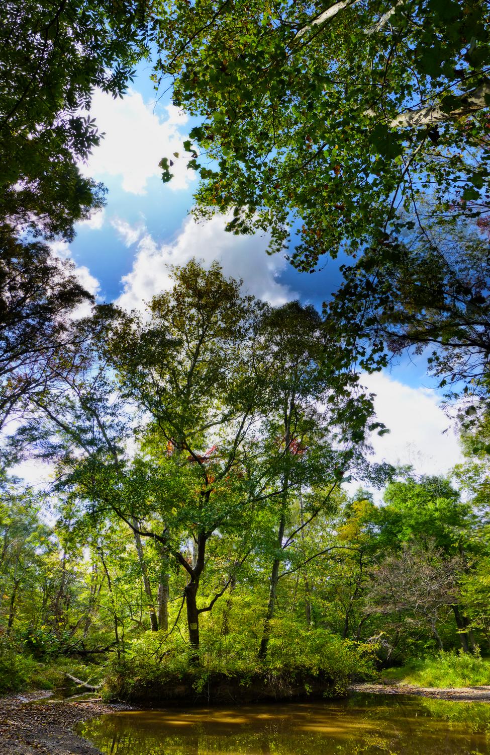  - Where Black Branch meets Bull Run - vertical panorama <br>--- Click to see ORIGINAL --- - Panasonic DMC-ZS20 - Tony Karp, design, art, photography, techno-impressionist, techno-impressionism, aerial photography , drone , drones , dji , mavic pro , video , 3D printing - Books -