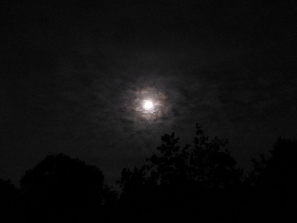  - The birth of the harvest moon <br>--- Click to see ORIGINAL --- - Panasonic DMC-ZS20 - Tony Karp, design, art, photography, techno-impressionist, techno-impressionism, aerial photography , drone , drones , dji , mavic pro , video , 3D printing - Books -