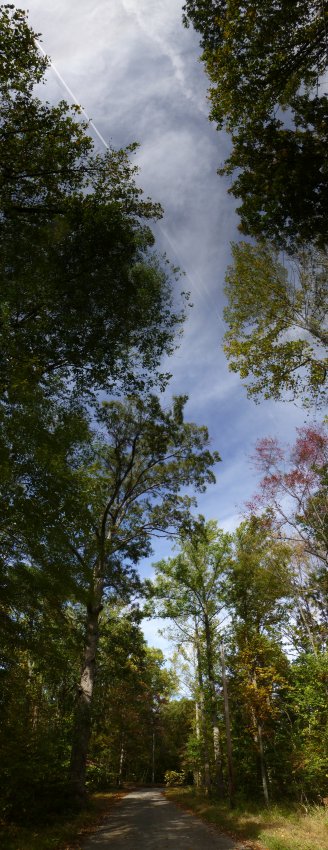  - A view down our road - vertical panorama <br>--- Click to see ORIGINAL --- - Panasonic DMC-ZS20 - Tony Karp, design, art, photography, techno-impressionist, techno-impressionism, aerial photography , drone , drones , dji , mavic pro , video , 3D printing - Books -