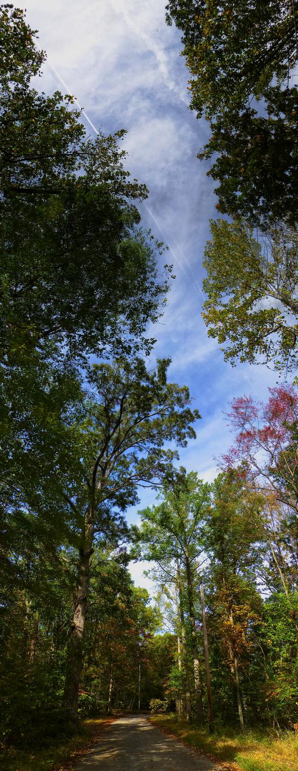  - A view down our road - vertical panorama <br>--- Click to see ORIGINAL --- - Panasonic DMC-ZS20 - Tony Karp, design, art, photography, techno-impressionist, techno-impressionism, aerial photography , drone , drones , dji , mavic pro , video , 3D printing - Books -