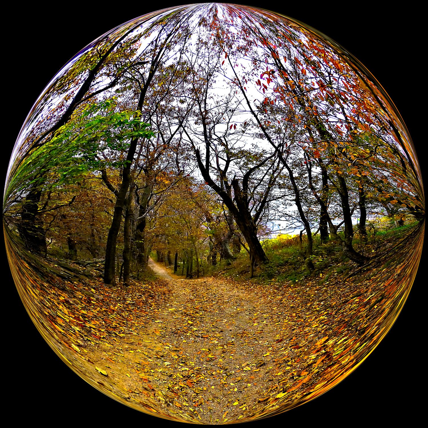  - A trail in a bubble at Sky Meadows -  Tony Karp's Bubble Pictures - From 1959 to 2013 - Tony Karp, design, art, photography, techno-impressionist, techno-impressionism, aerial photography , drone , drones , dji , mavic pro , video , 3D printing - Books -