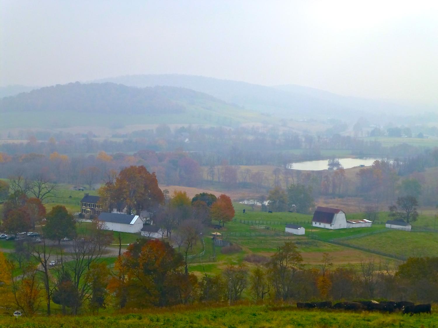  - Looking down at some of the park's buildings and a vista of beautiful, open countryside. <br>--- Click to see ORIGINAL --- - Sky Meadows State park - Virginia - Cows - Panasonic DMC-ZS20 - Tony Karp, design, art, photography, techno-impressionist, techno-impressionism, aerial photography , drone , drones , dji , mavic pro , video , 3D printing - Books -