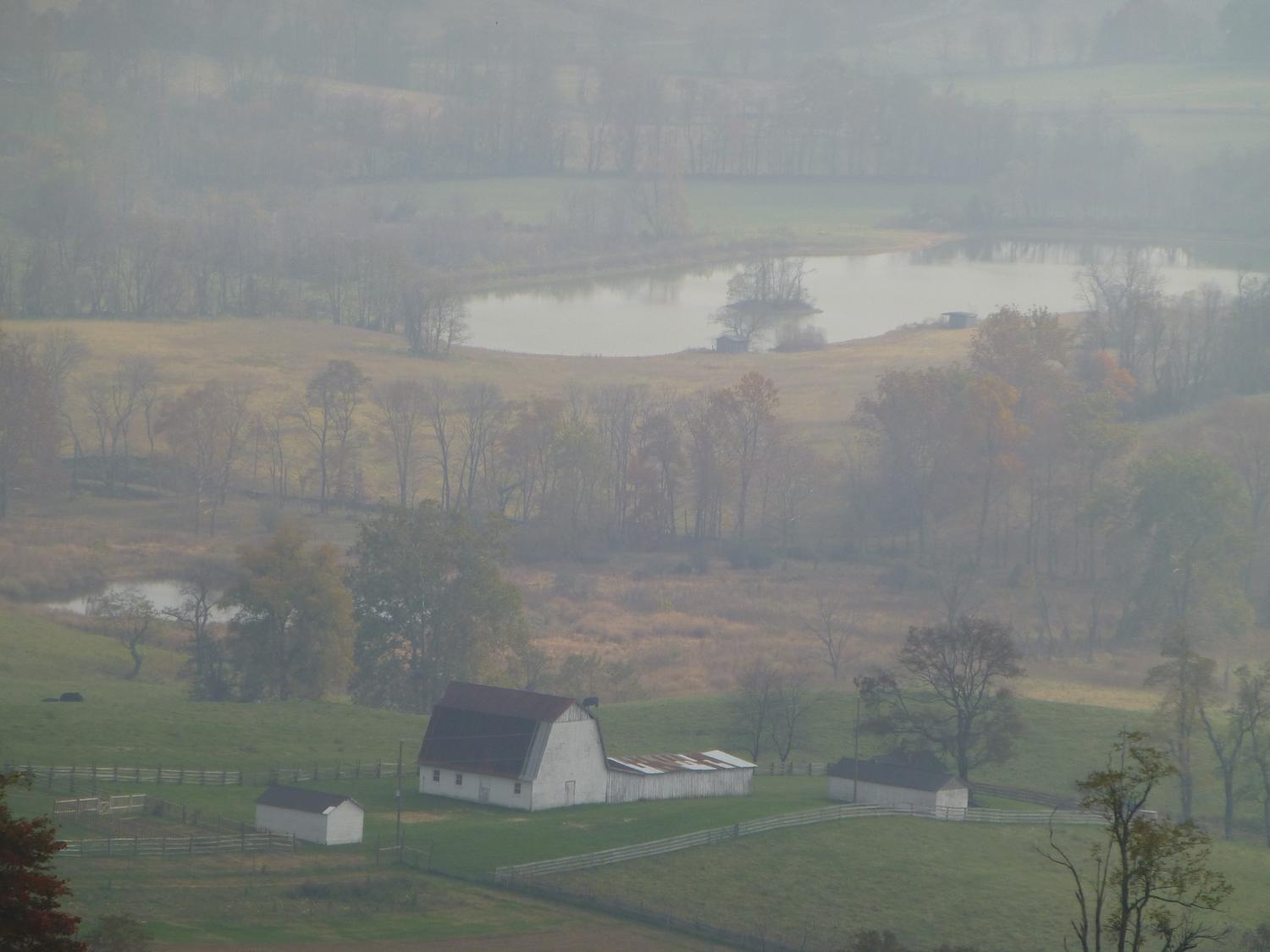  - Another view of the farm, as seen through the fog<br>--- Click to see ORIGINAL --- - Sky Meadows State park - Virginia - Cows - Panasonic DMC-ZS20 - Tony Karp, design, art, photography, techno-impressionist, techno-impressionism, aerial photography , drone , drones , dji , mavic pro , video , 3D printing - Books -
