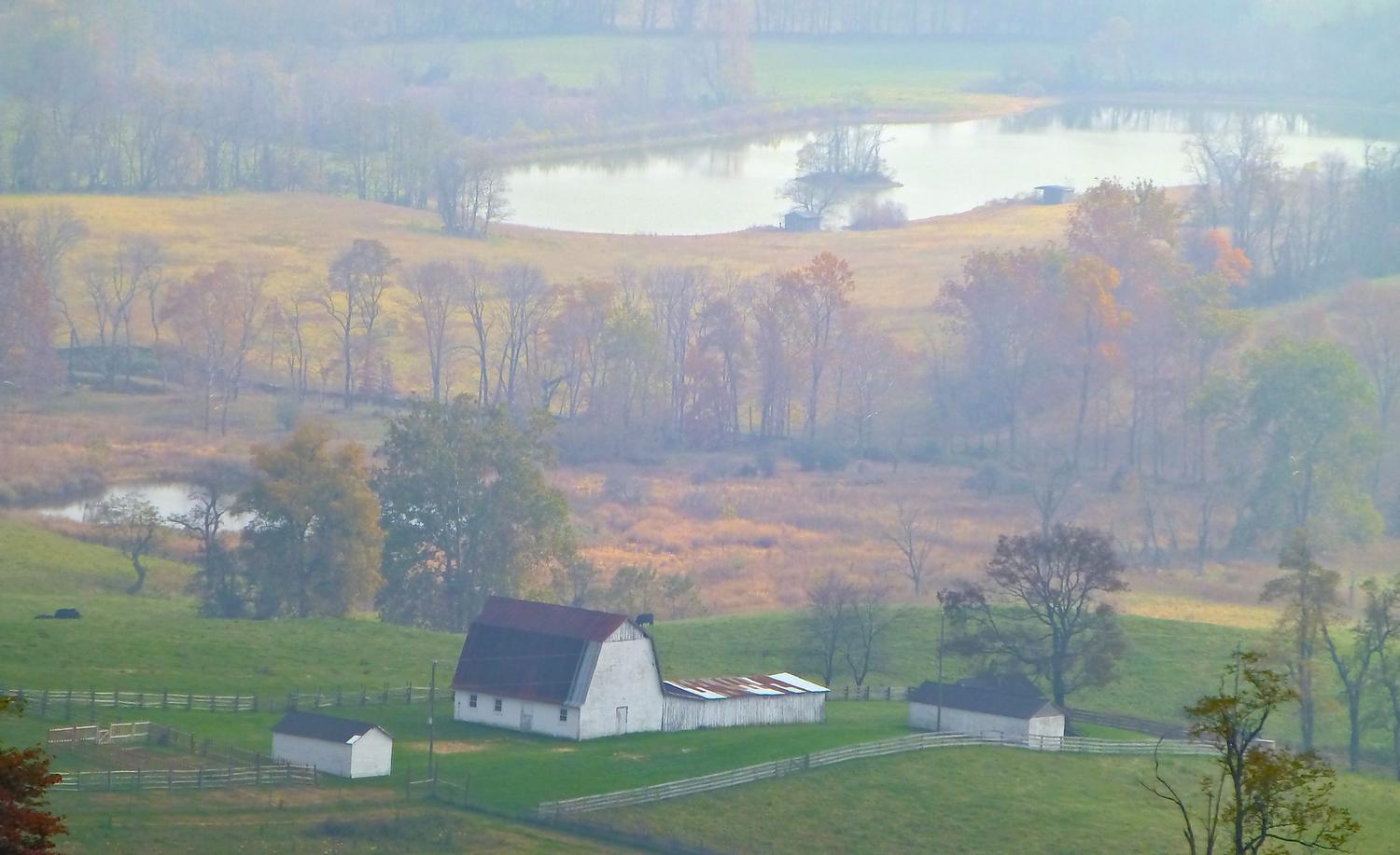  - Another view of the farm, as seen through the fog<br>--- Click to see ORIGINAL --- - Sky Meadows State park - Virginia - Cows - Panasonic DMC-ZS20 - Tony Karp, design, art, photography, techno-impressionist, techno-impressionism, aerial photography , drone , drones , dji , mavic pro , video , 3D printing - Books -