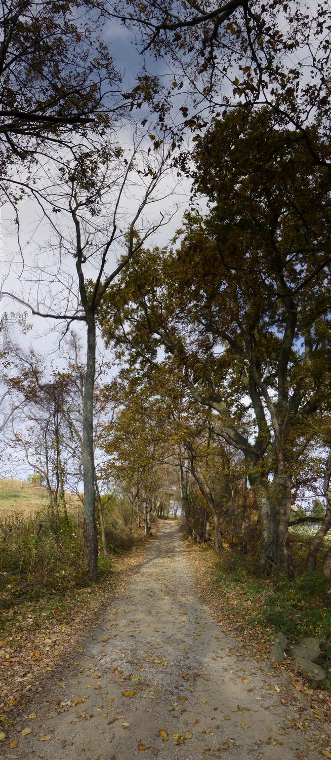  - A vertical panorama of the trail at Sky meadows <br>--- Click to see ORIGINAL --- - Sky Meadows State park - Virginia - Cows - Panasonic DMC-ZS20 - Tony Karp, design, art, photography, techno-impressionist, techno-impressionism, aerial photography , drone , drones , dji , mavic pro , video , 3D printing - Books -