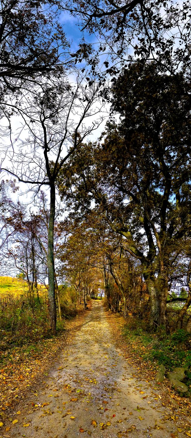  - A vertical panorama of the trail at Sky meadows <br>--- Click to see ORIGINAL --- - Sky Meadows State park - Virginia - Cows - Panasonic DMC-ZS20 - Tony Karp, design, art, photography, techno-impressionist, techno-impressionism, aerial photography , drone , drones , dji , mavic pro , video , 3D printing - Books -