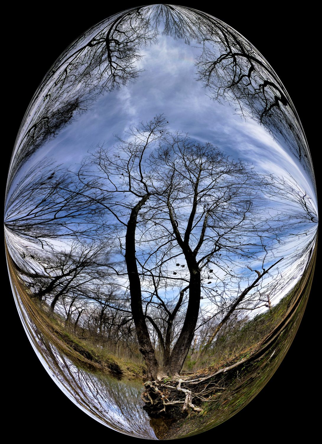  - Old scoured tree at Bull Run -  Tony Karp's Bubble Pictures - From 1959 to 2013 - Tony Karp, design, art, photography, techno-impressionist, techno-impressionism, aerial photography , drone , drones , dji , mavic pro , video , 3D printing - Books -